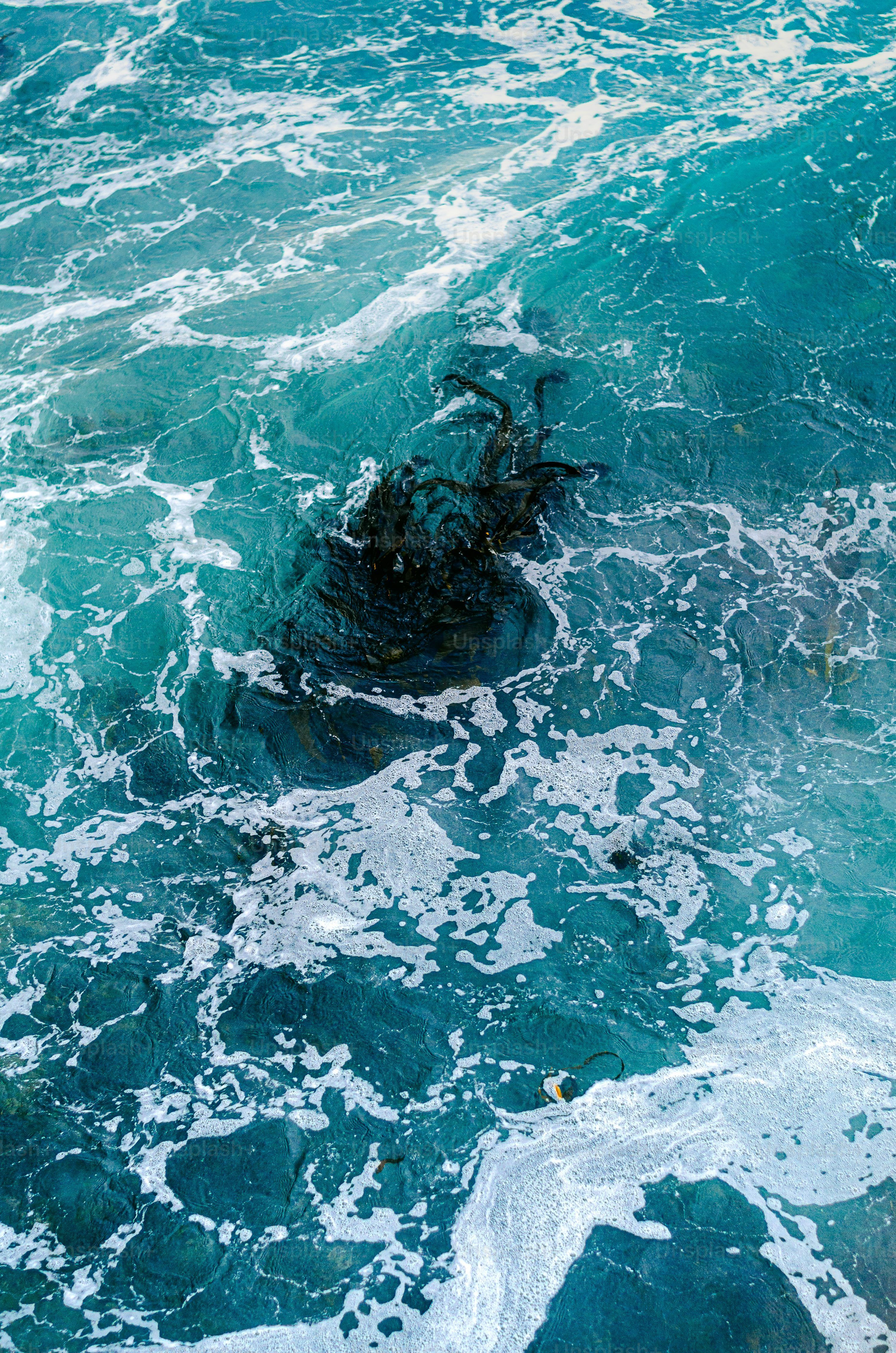 3000x4529 Turquoise Sea Picture. Download Free Image