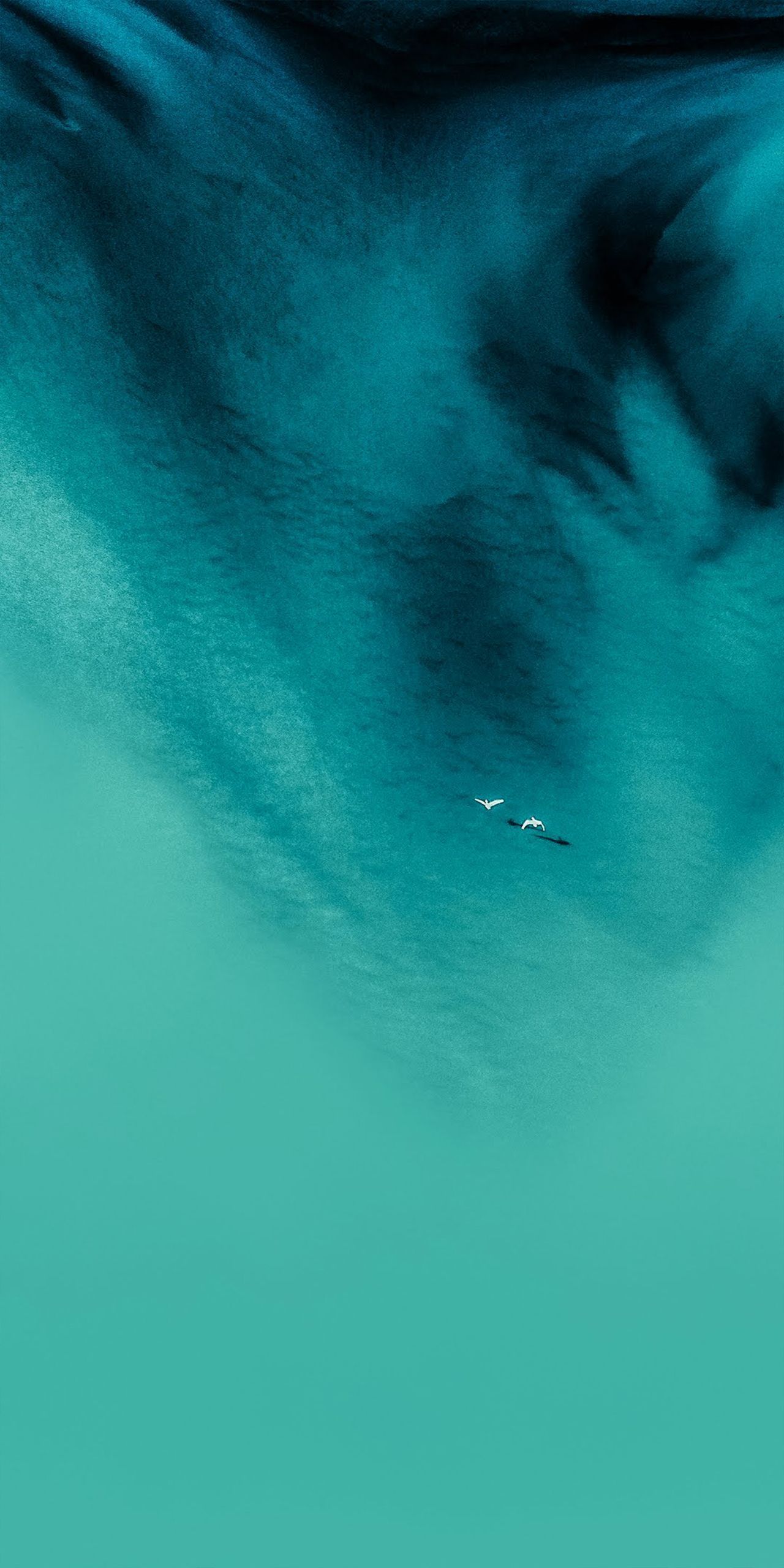 1280x2560 Turquoise Ocean