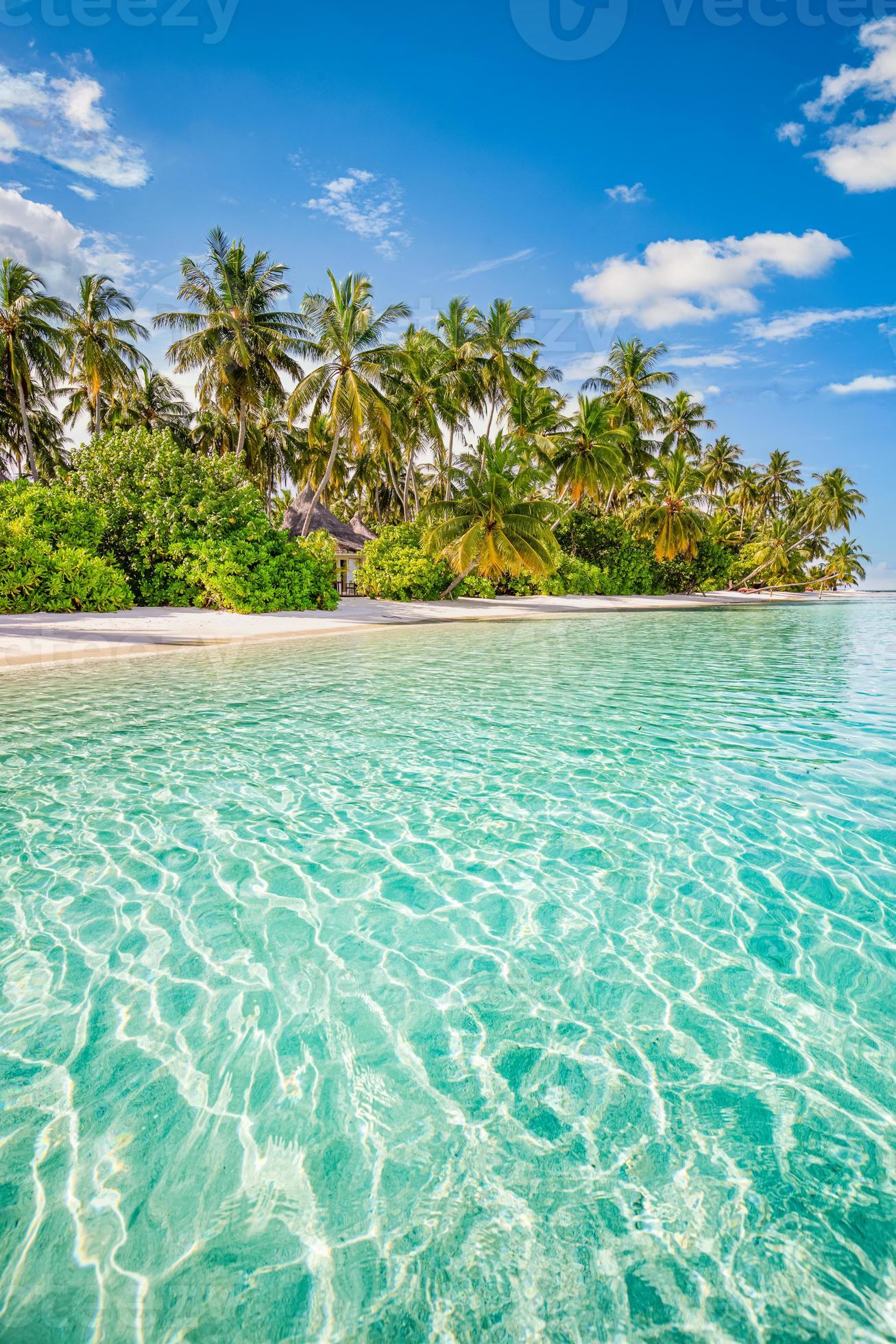 1307x1960 Beautiful tropical beach, calm turquoise sea lagoon white sand, palm trees, against blue sky with clouds on sunny summer day. Perfect landscape background for relaxing vacation, island of Maldives. 8159435