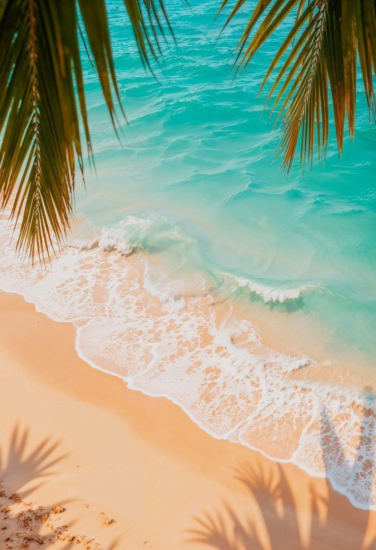 740x1082 Turquoise beach Image