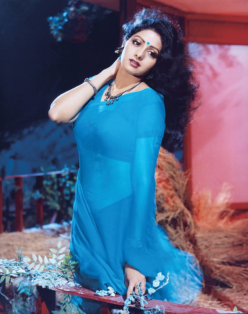 800x1012 HD mr india wallpaper