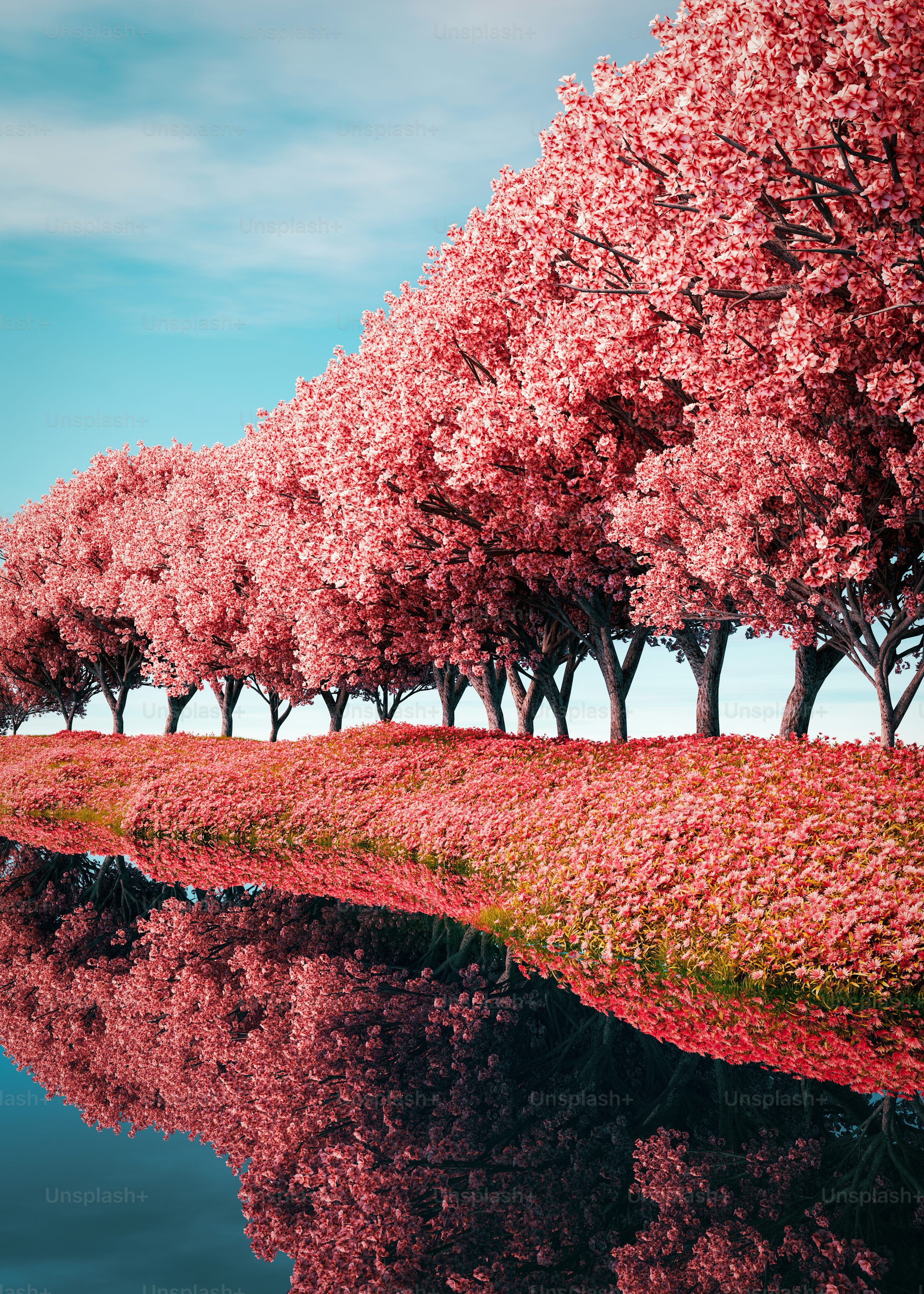 Tree Rows Hd Row of Trees Wallpapers - Top Free Row of Trees Backgrounds ...