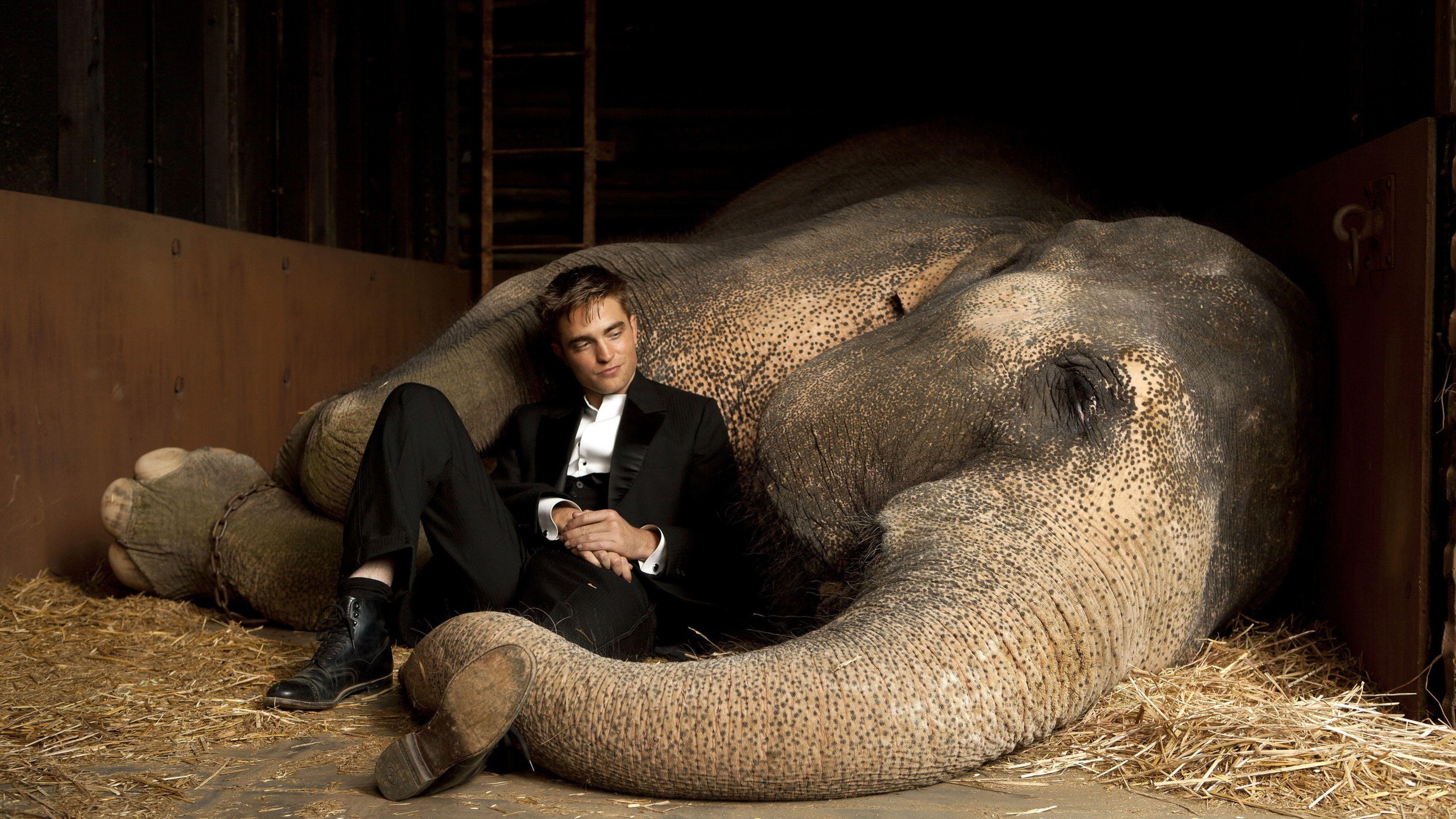 Ребят животное. Воды слонам! (2011). Воды слонам! Water for Elephants, 2011.