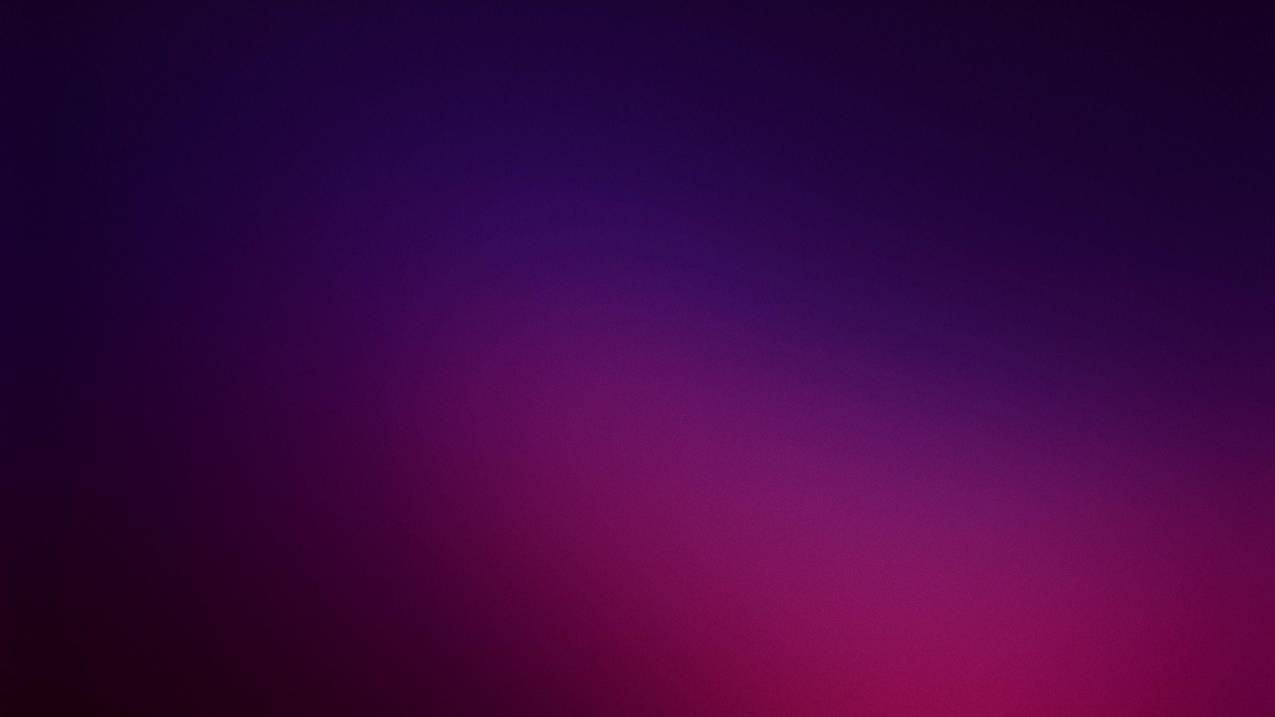 2560x1440 Free download Purple Color Background wallpaper Best HD Wallpaper