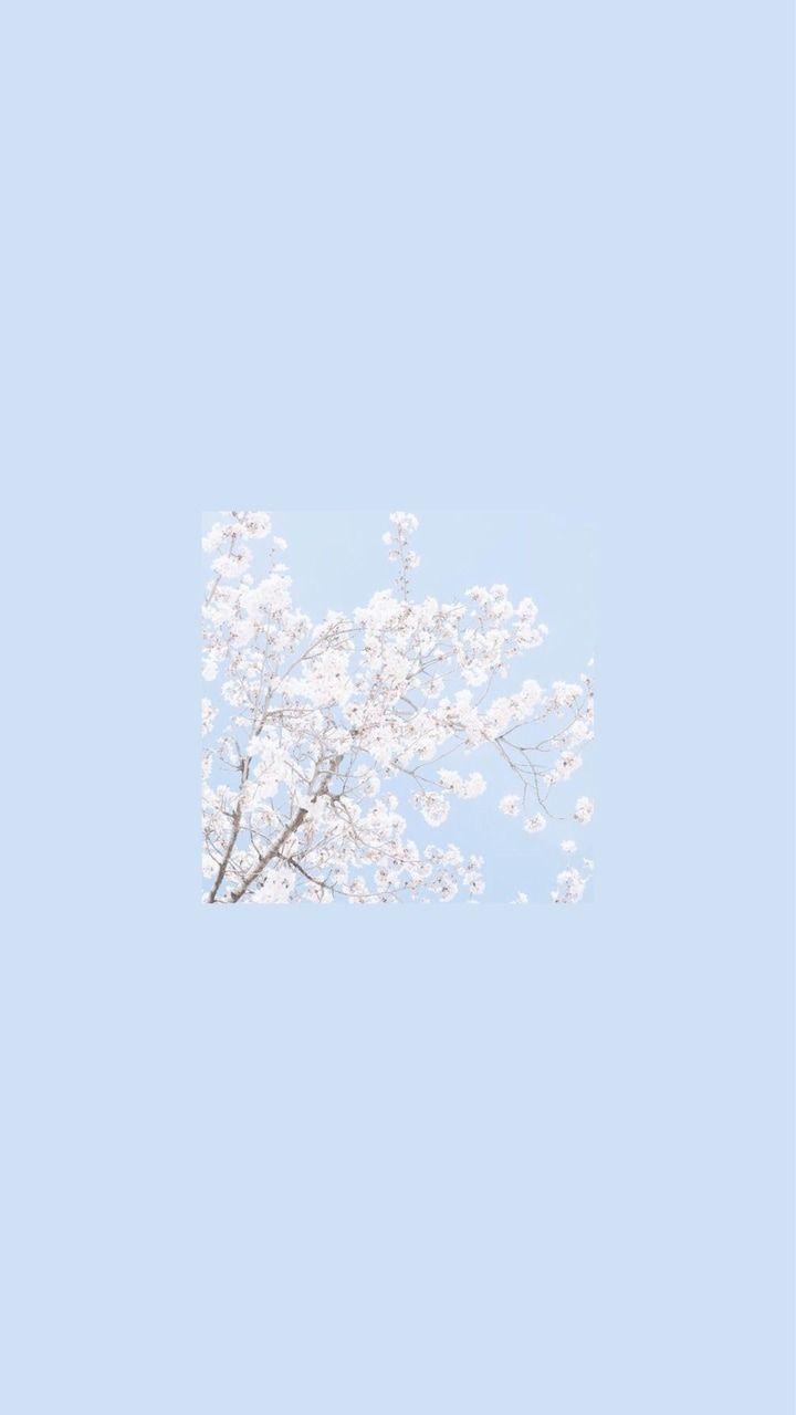 720x1280 Wallpaper Aesthetic Blue