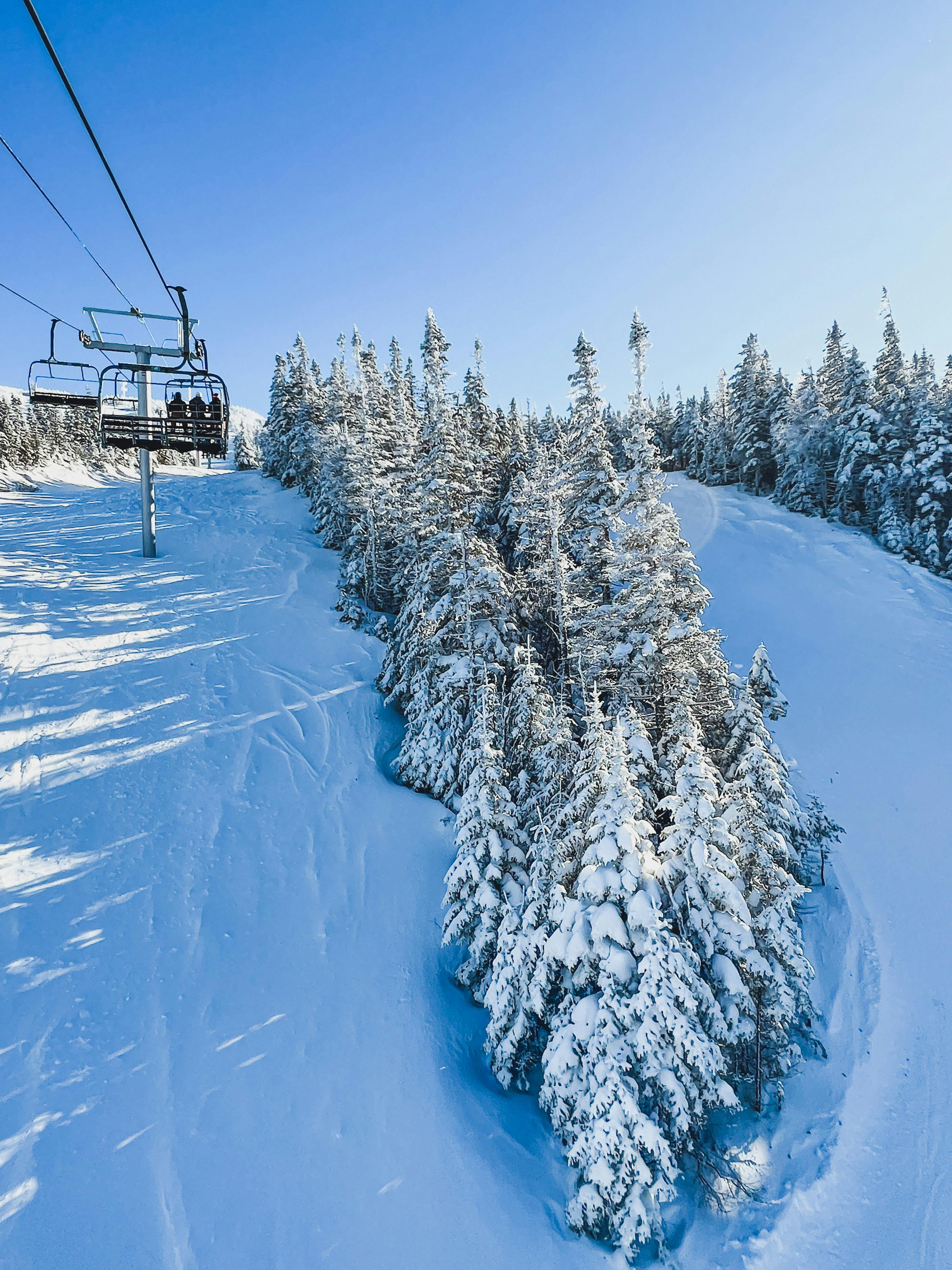 2902x3869 Ski Lift Next to Coniferous Forest · Free