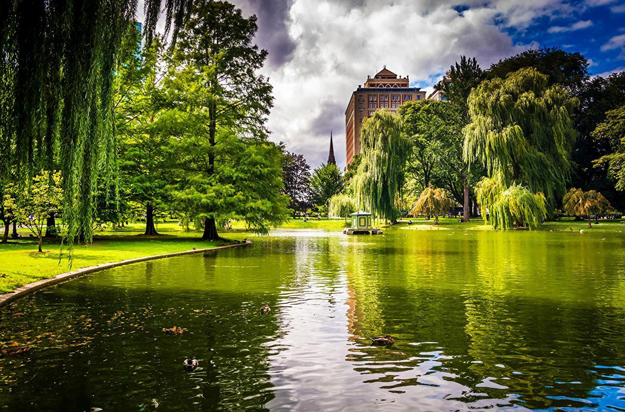 1280x844 Pond In The Park Wallpaper