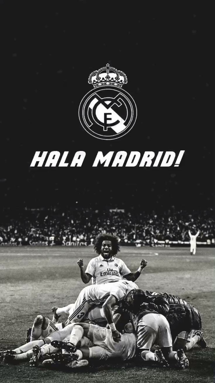 736x1308 Real Madrid