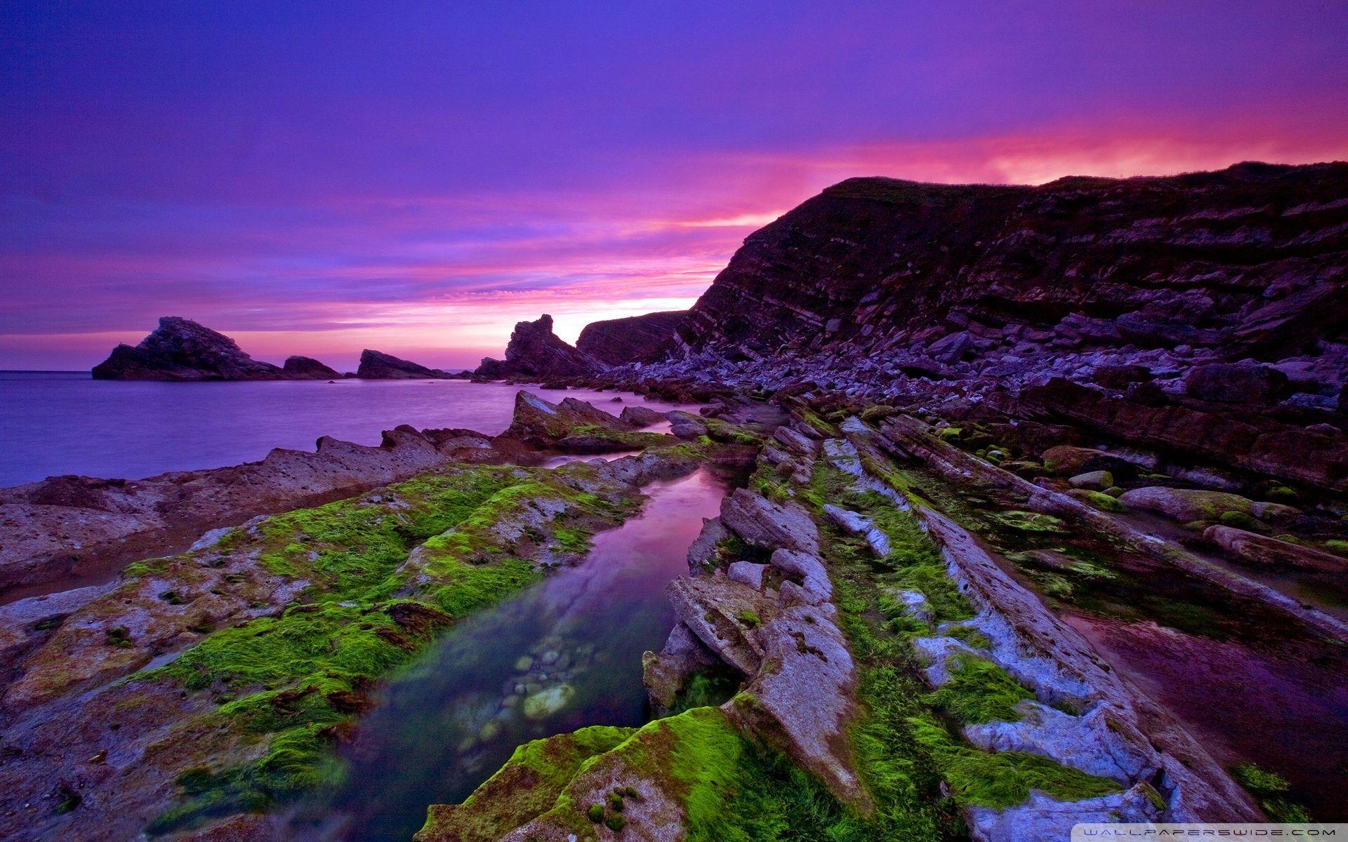 1920x1200 Download Wild Beach 3 UltraHD Wallpaper