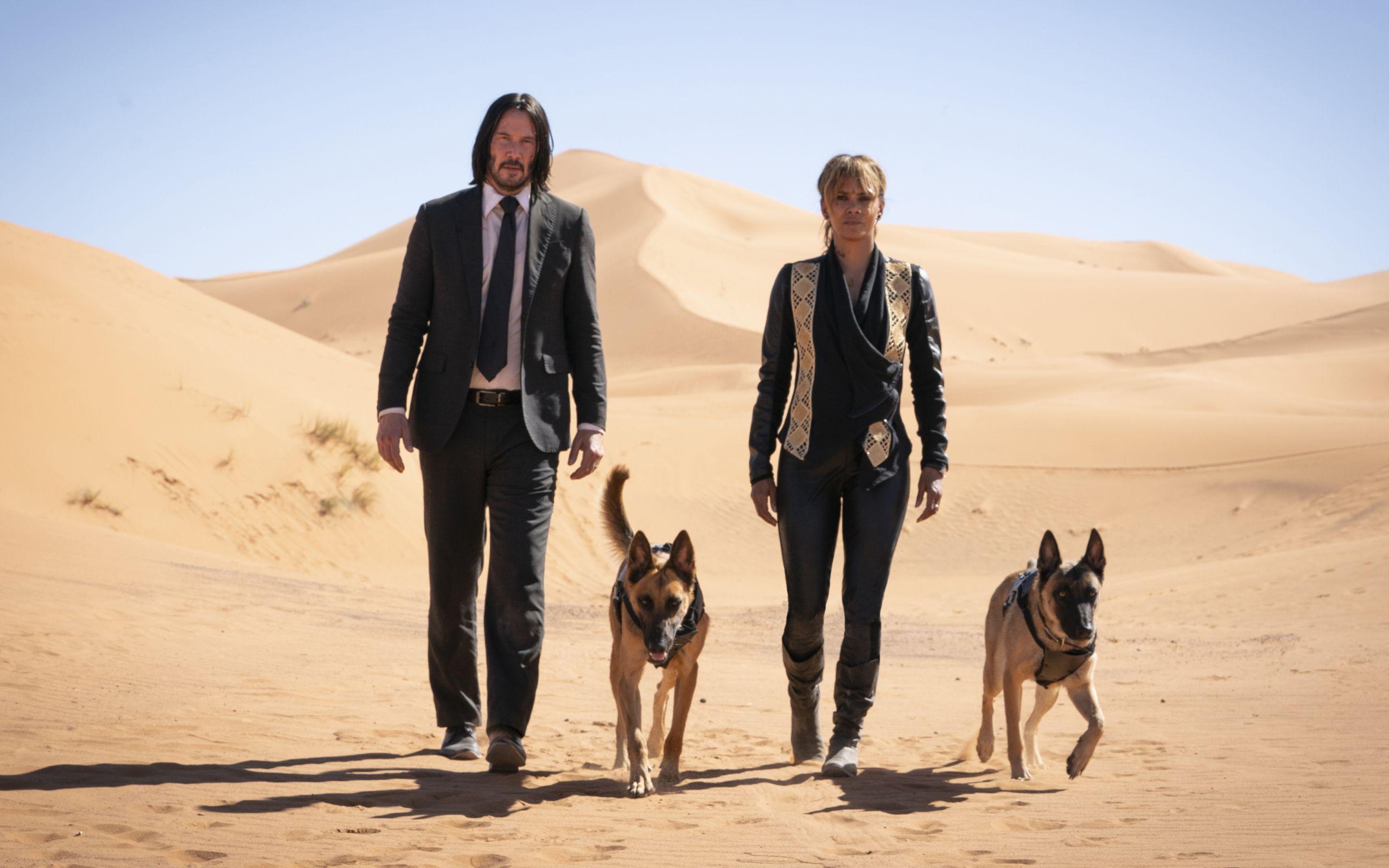 2560x1600 Wallpaper of Halle Berry, John Wick, John Wick Keanu Reeves