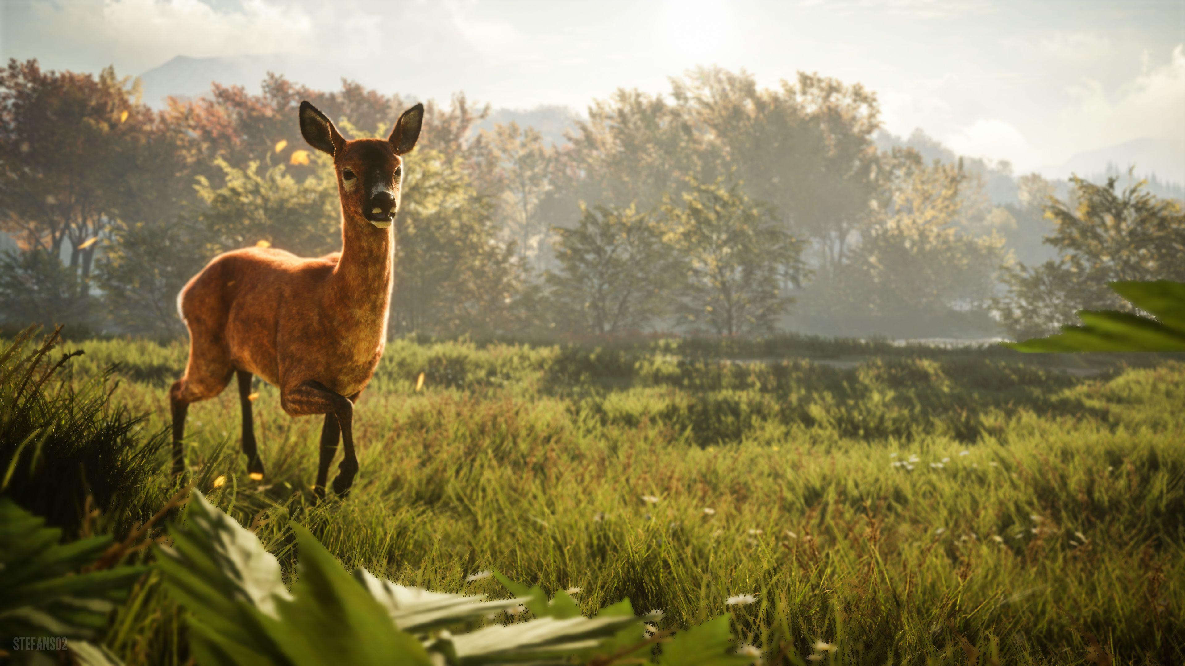 3840x2160 Wallpaper 4k The Hunter Call Of The Wild 4k 4k Wallpaper, Games