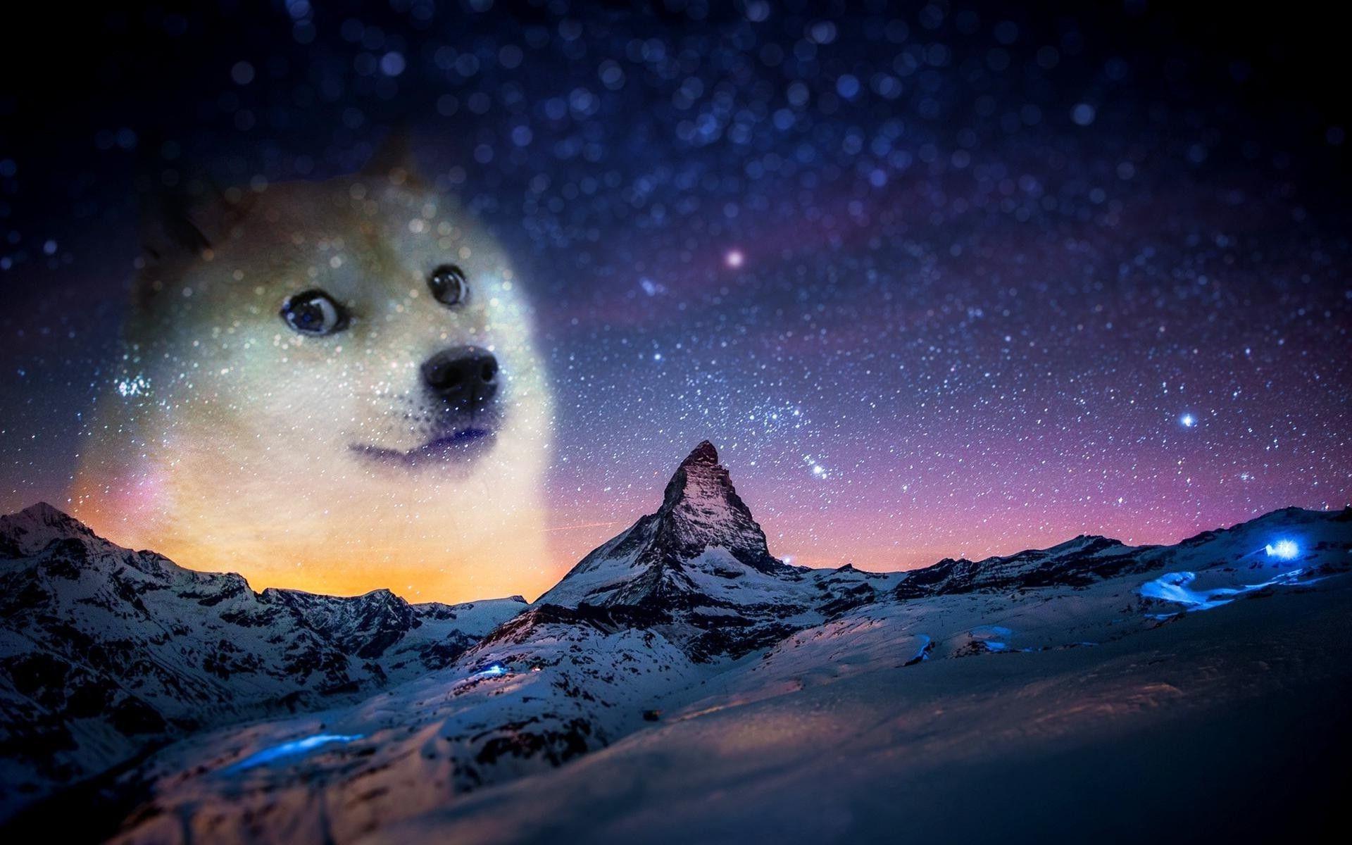 Galaxy Dog Wallpapers - Top Free Galaxy Dog Backgrounds - WallpaperAccess
