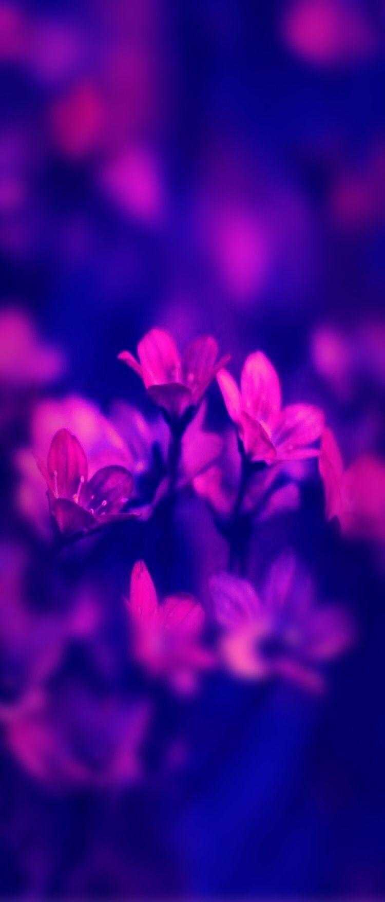 750x1756 Flower, floral, red, purple, wallpaper, clean, galaxy, colour