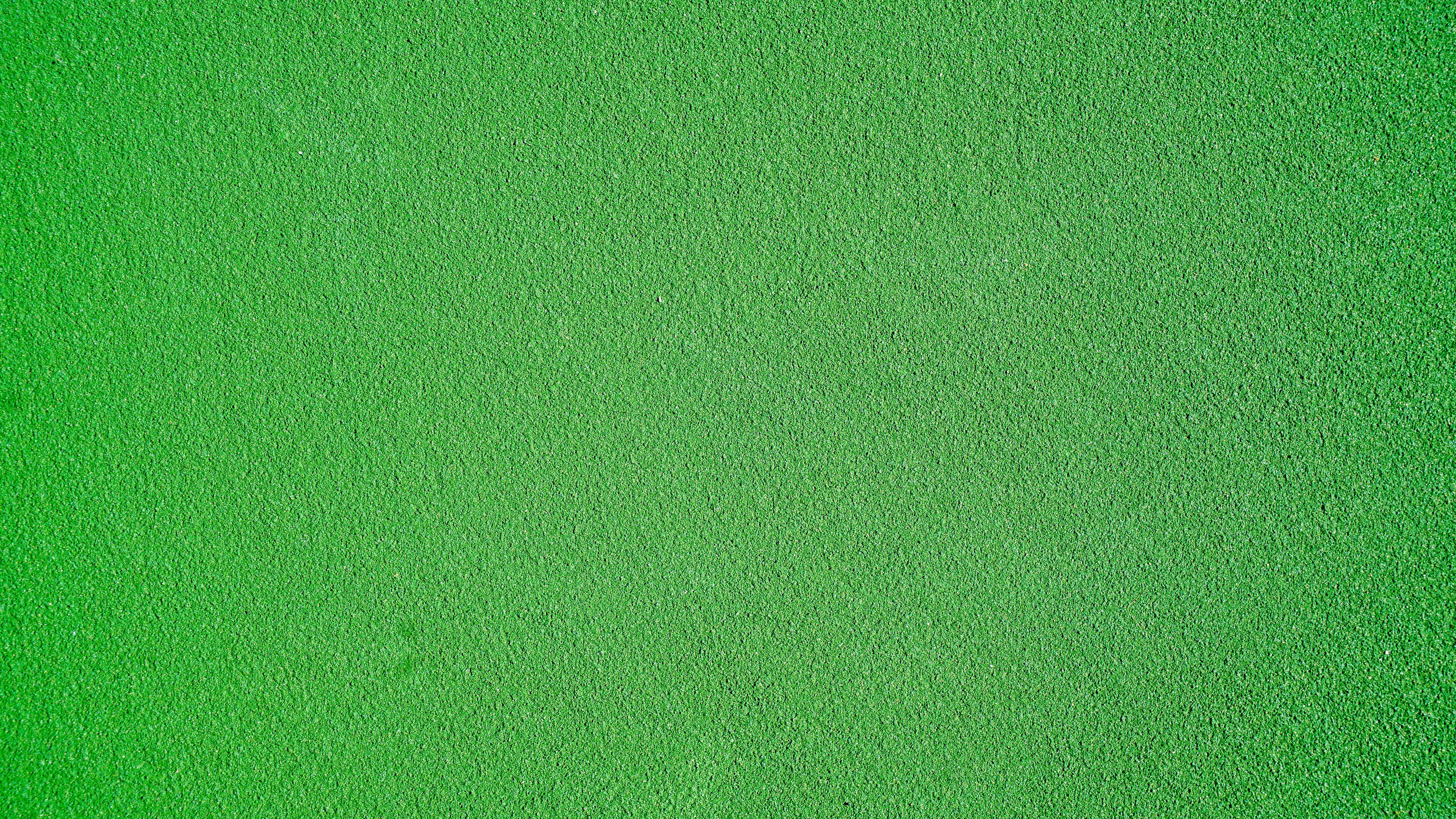 6000x3376 Green Wallpaper: Free HD Download [HQ]