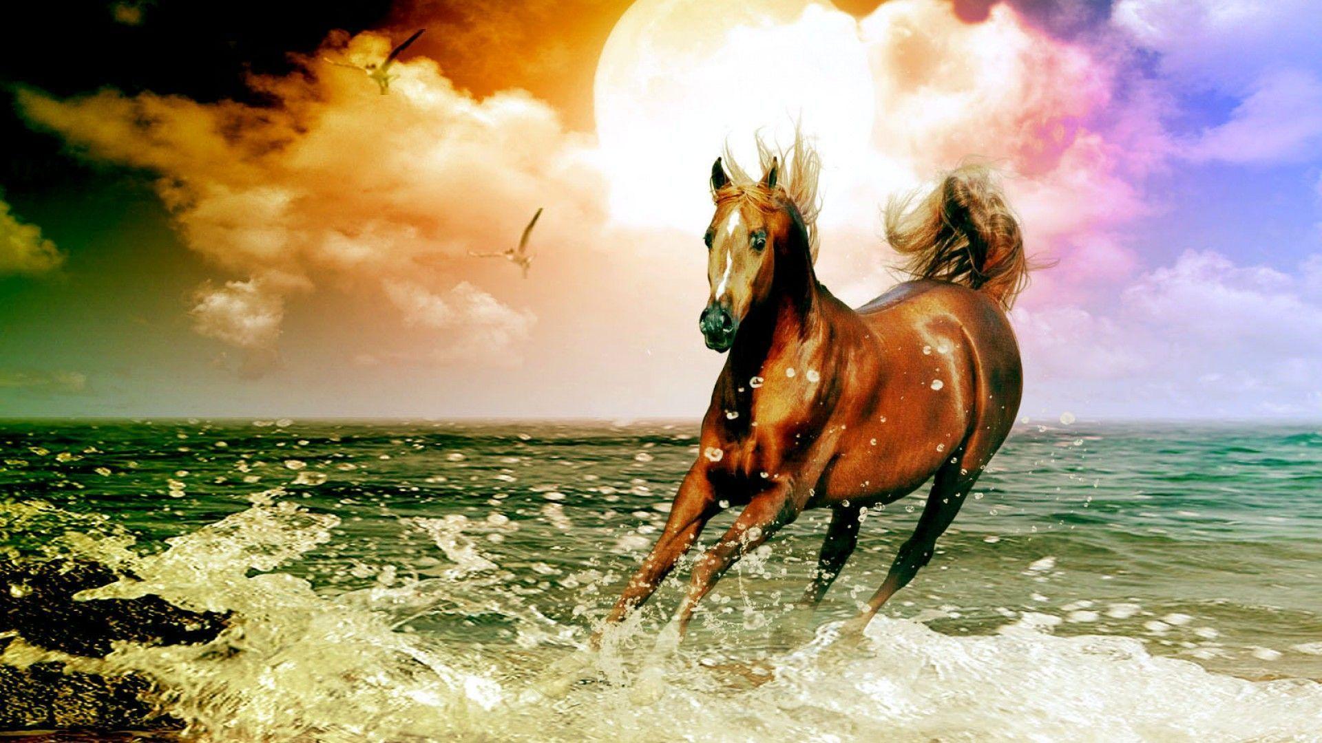 1920x1080 Free Desktop Wallpaper Horses