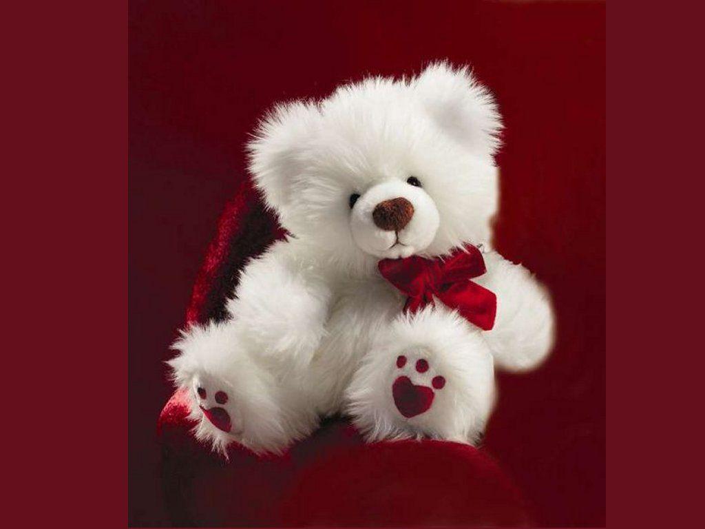 1024x768 Teddy Wallpaper. Lonely Teddy Bear