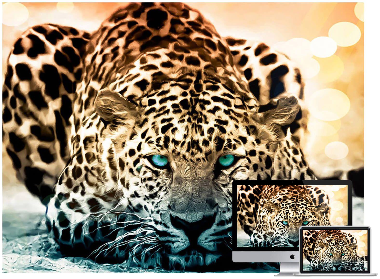 3D Wild Animal Wallpapers Top Free 3D Wild Animal Backgrounds WallpaperAccess