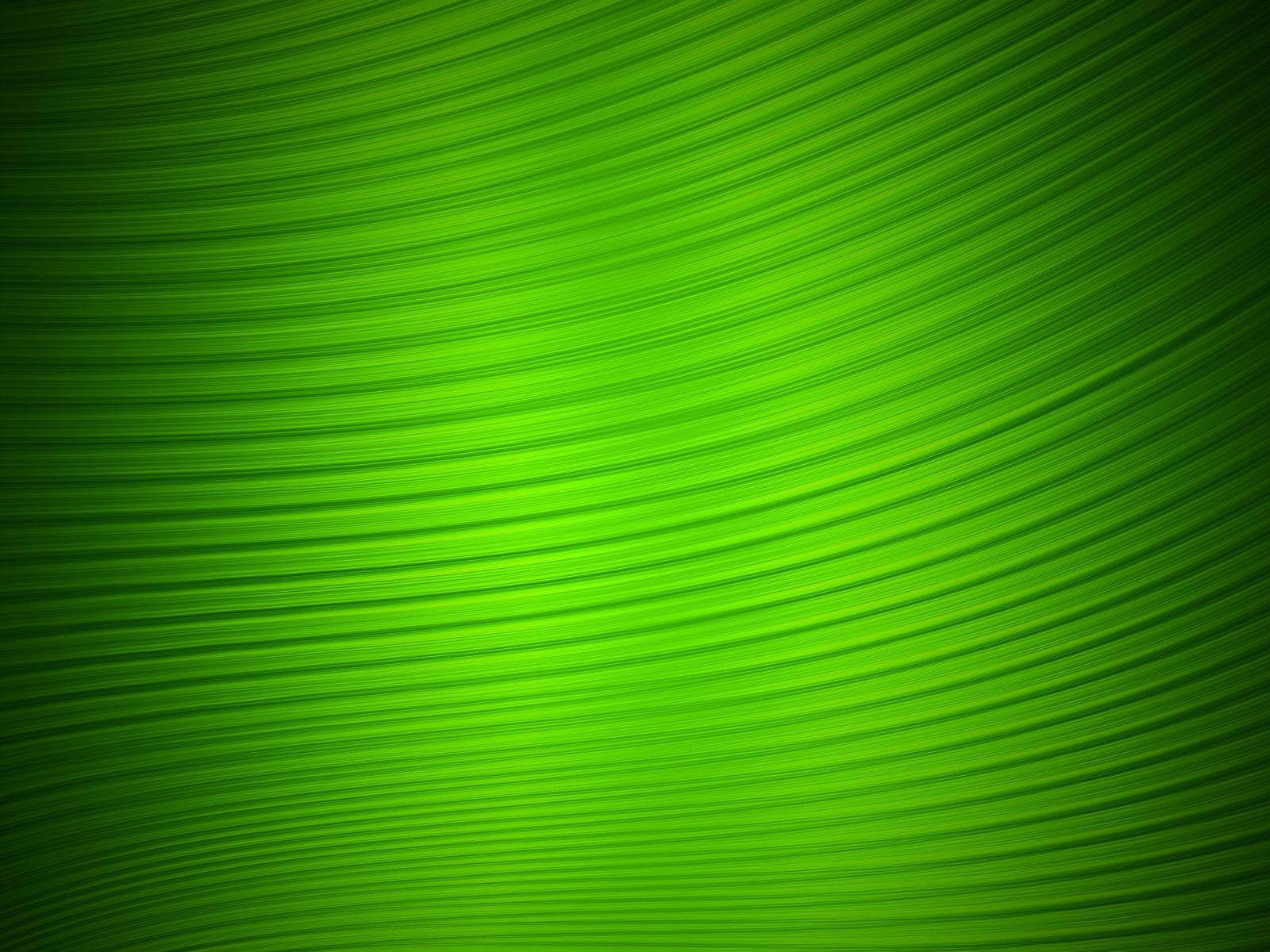 1600x1200 Green Wallpaper