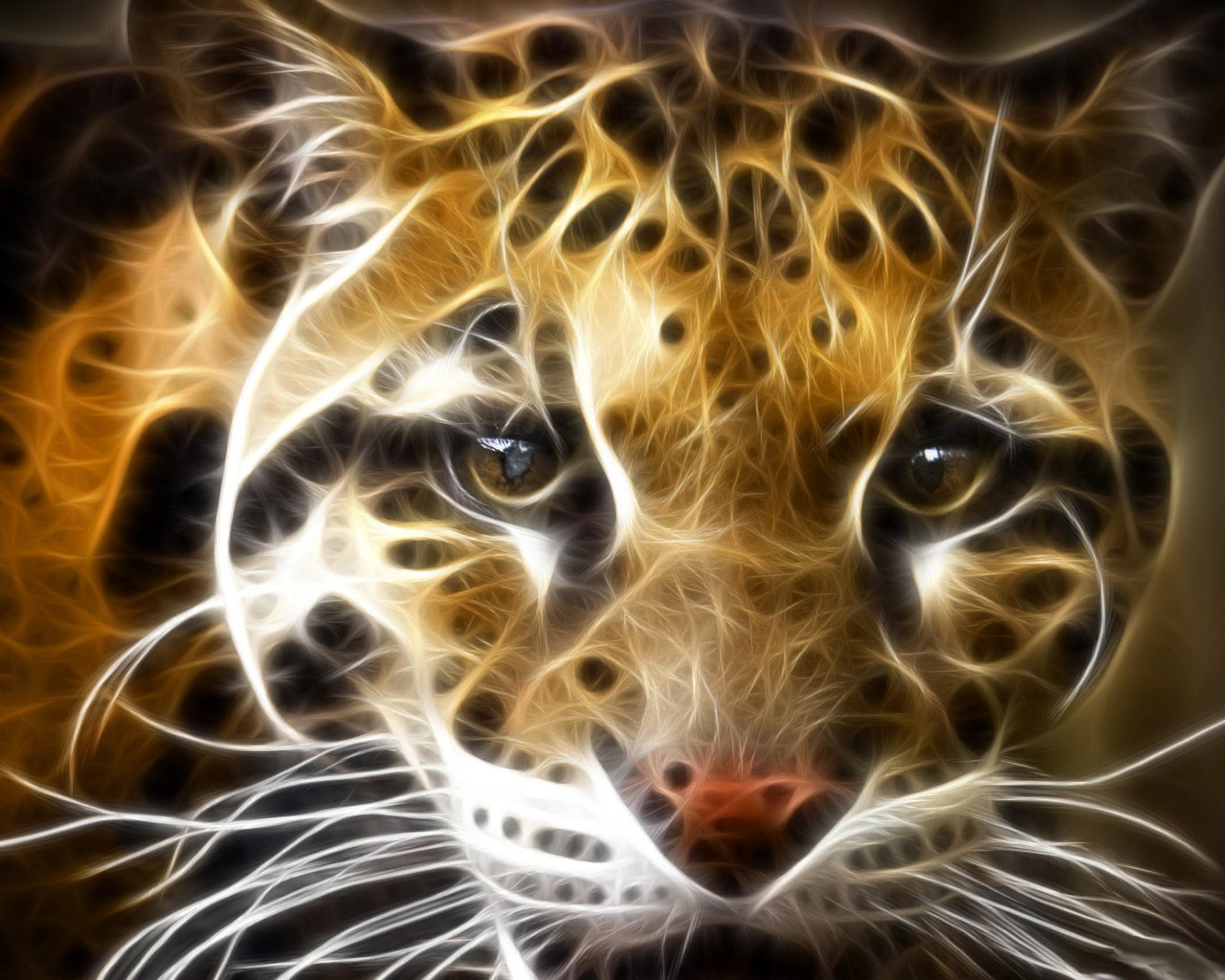 2560x2048 Wild Cat Wallpaper
