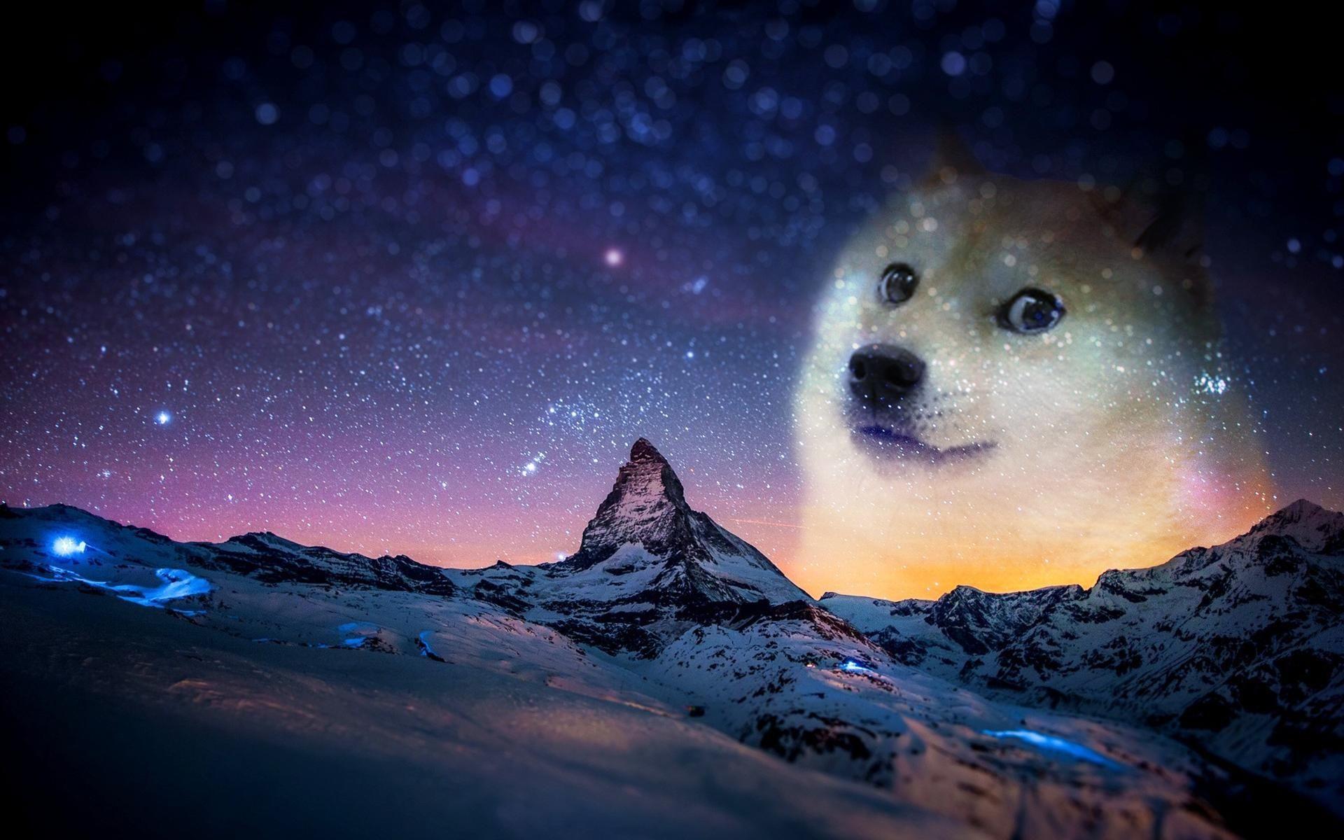 1920x1200 Doge Space Wallpaper