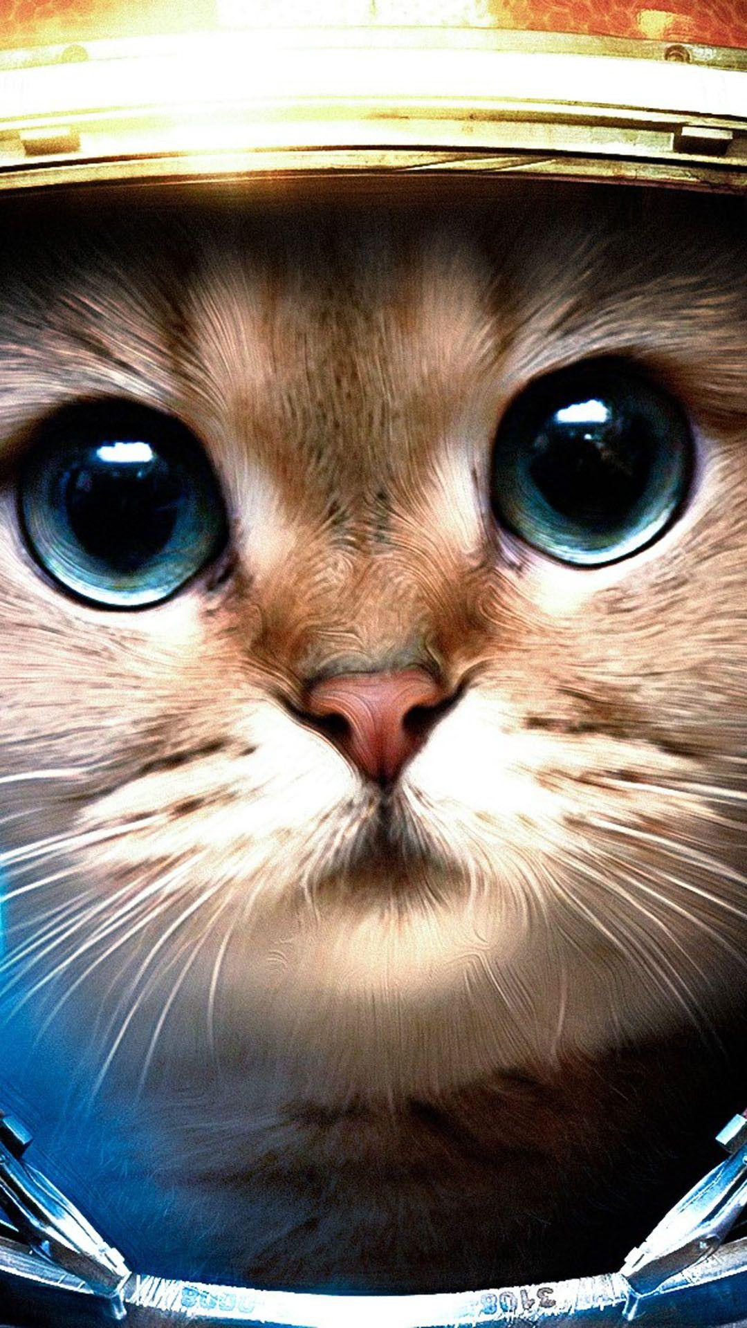 1080x1920 Space Cat iPhone Wallpaper