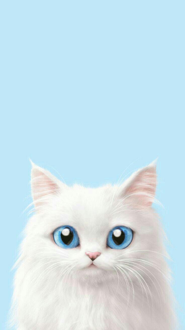 736x1308 Cute Cat Wallpaper iPhone