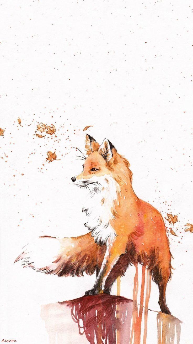 Cute fox Wallpaper 4K Cute animal White background 5K 10082