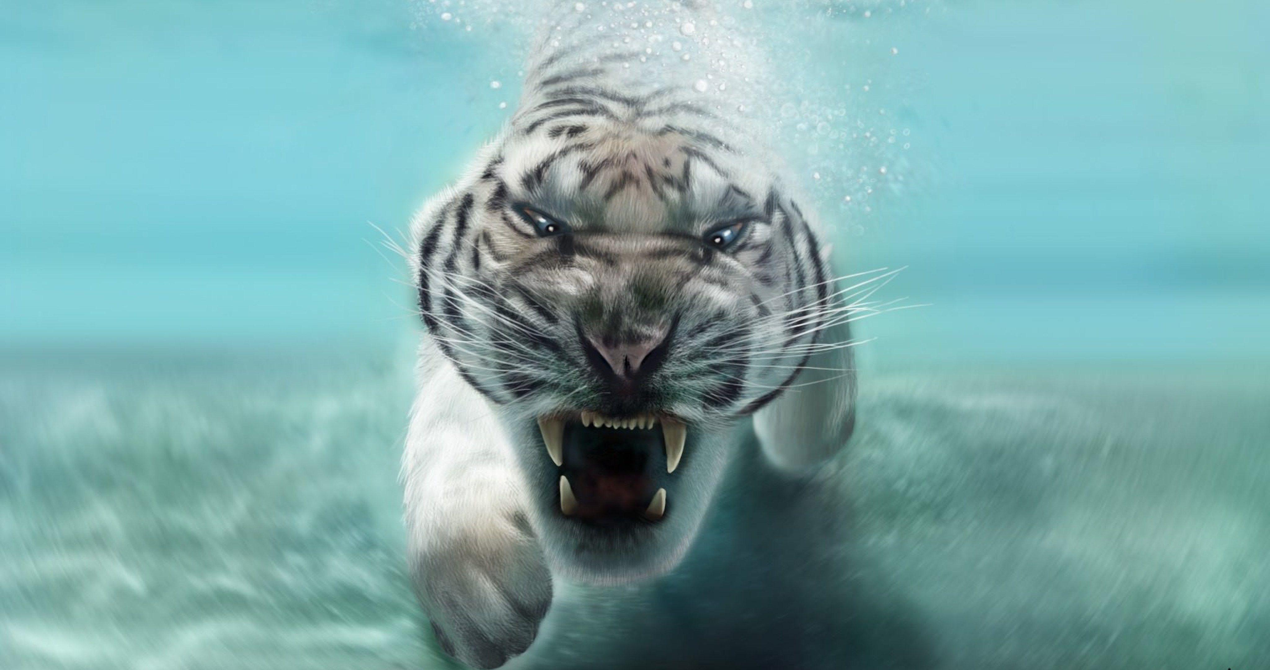 Выйди на заставку телефона. Тигр обои. Белый тигр. Тигр в воде. Заставка на рабочий стол тигр.