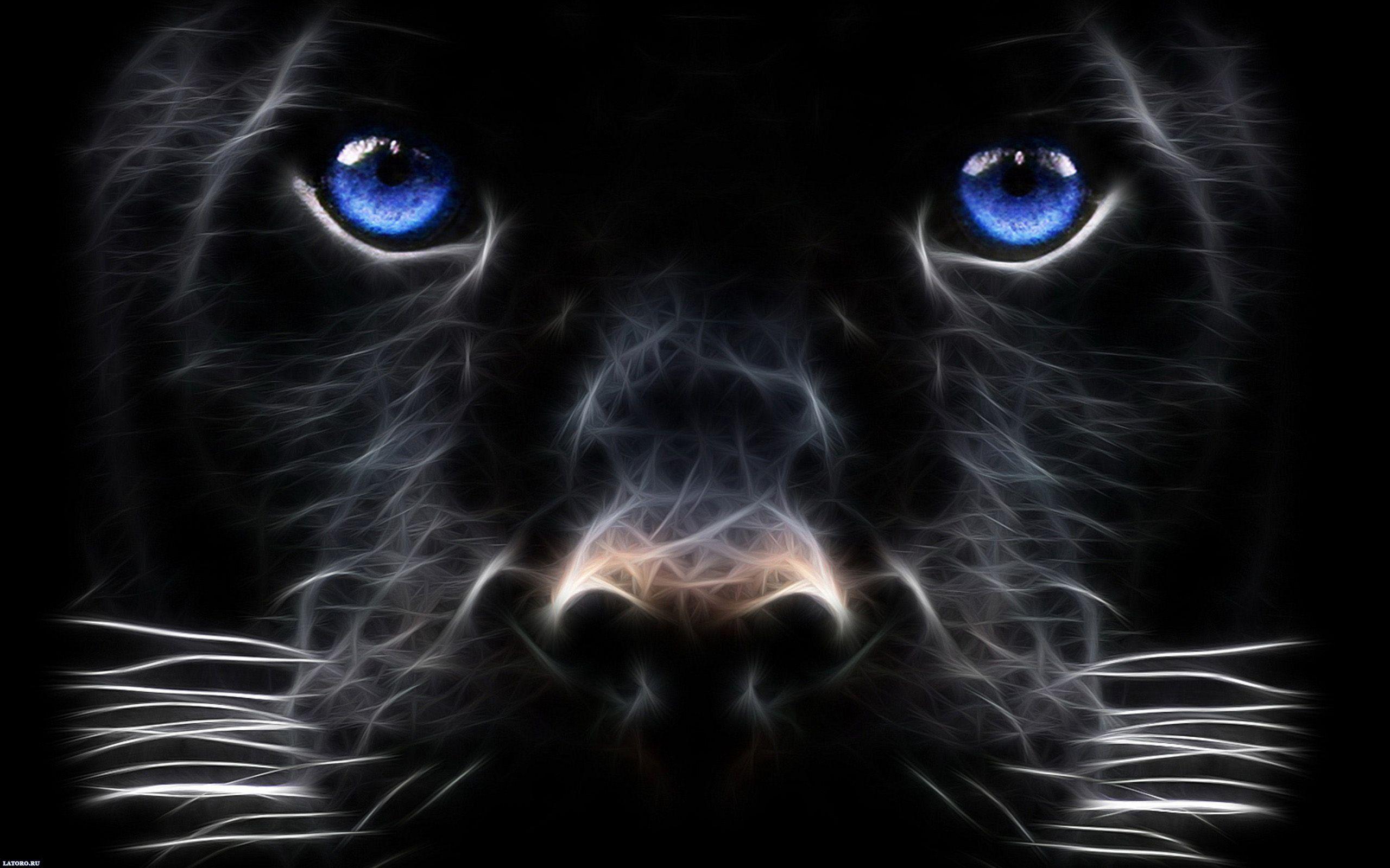 2560x1600 Dog Desktop Background. Funny Dog