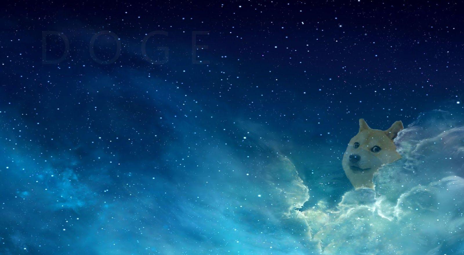 1600x881 Doge HD Wallpaper