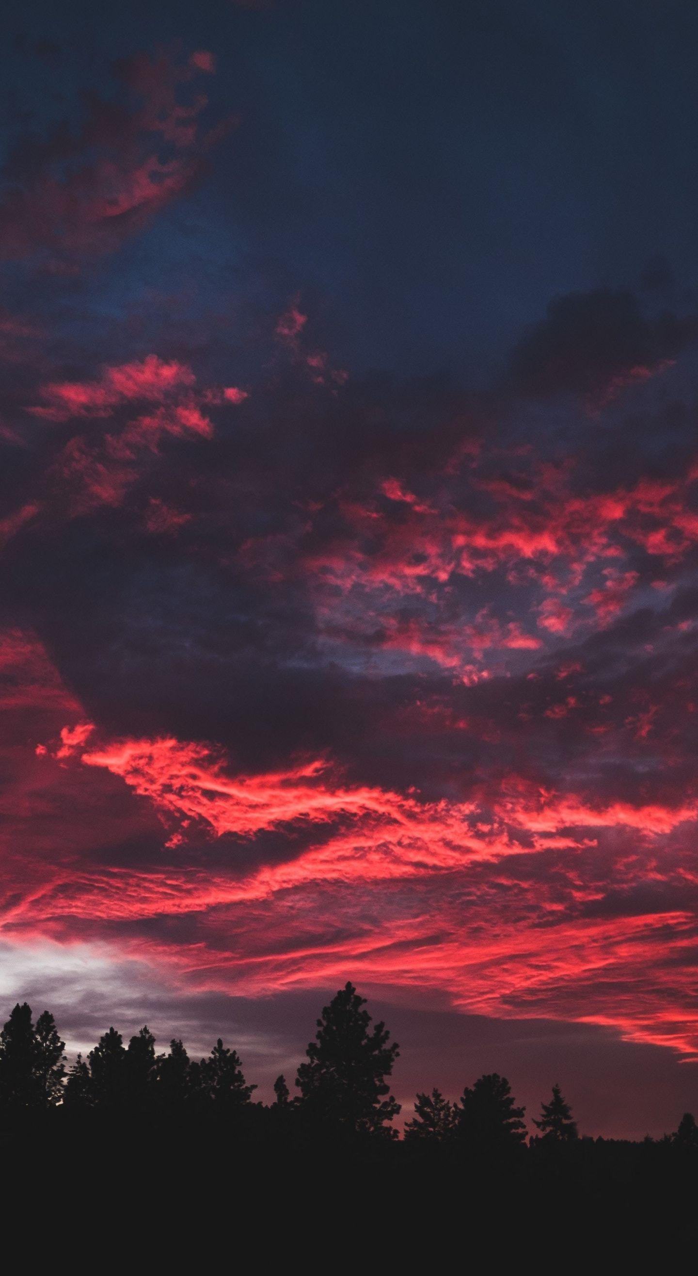 1440x2630 Download 1440x2630 wallpaper colorful, clouds, sunset, dark, tree