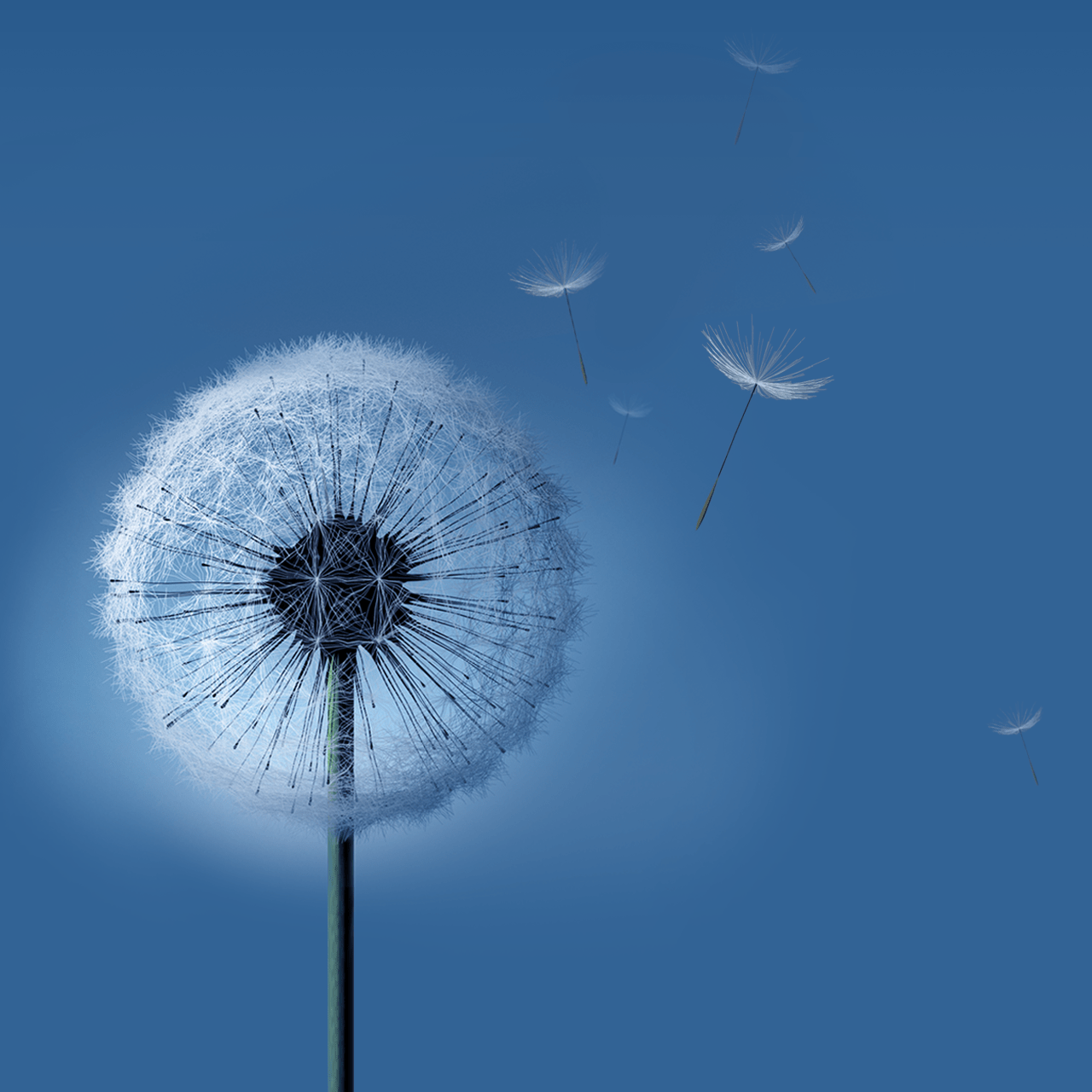 1280x1280 Free download Best Galaxy Note 8 Wallpaper 62008 Wallpaper
