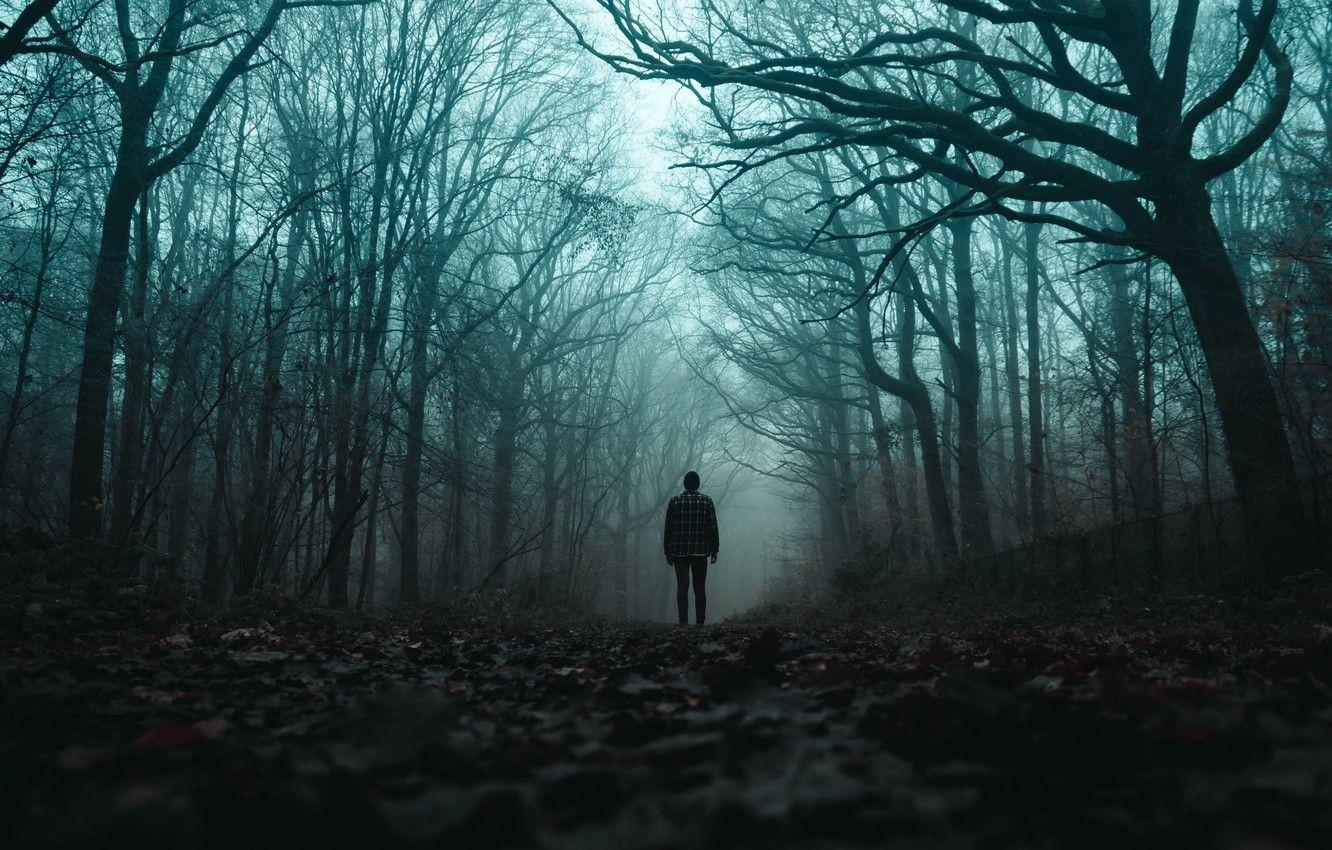 1332x850 Wallpaper forest, trees, dead, autumn, fog, man, mood, solitude, loneliness, plants, silhouette, moods, dry, gloomy, 4k uhd background, fallen leaves image for desktop, section настроения