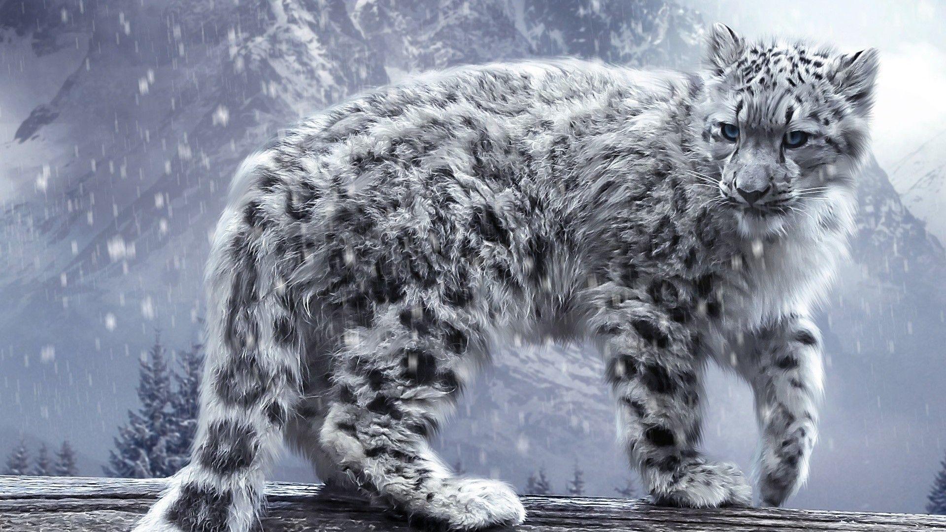 1920x1080 Snow Leopard Wallpaper