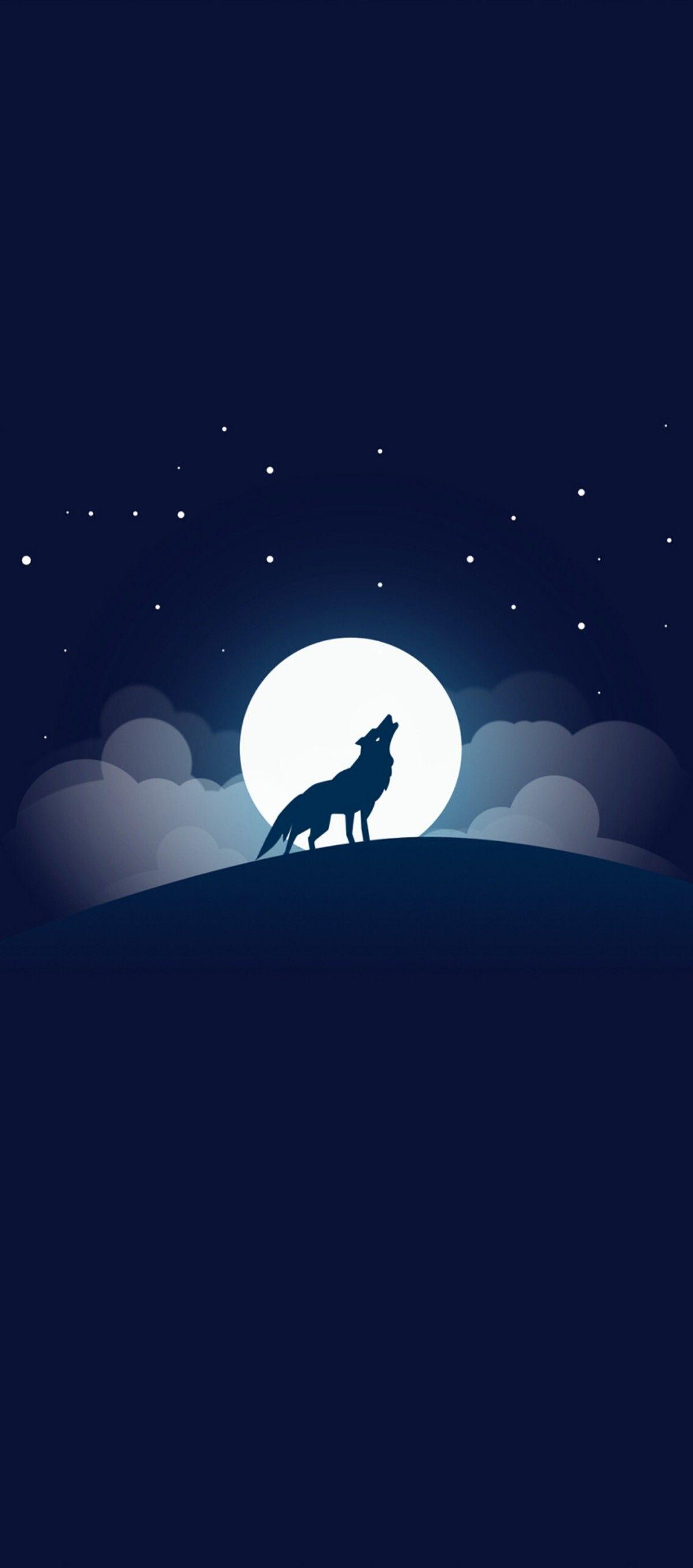 1200x2714 Samsung, galaxy s s8 plus, s s9 plus, wallpaper, wolf, night