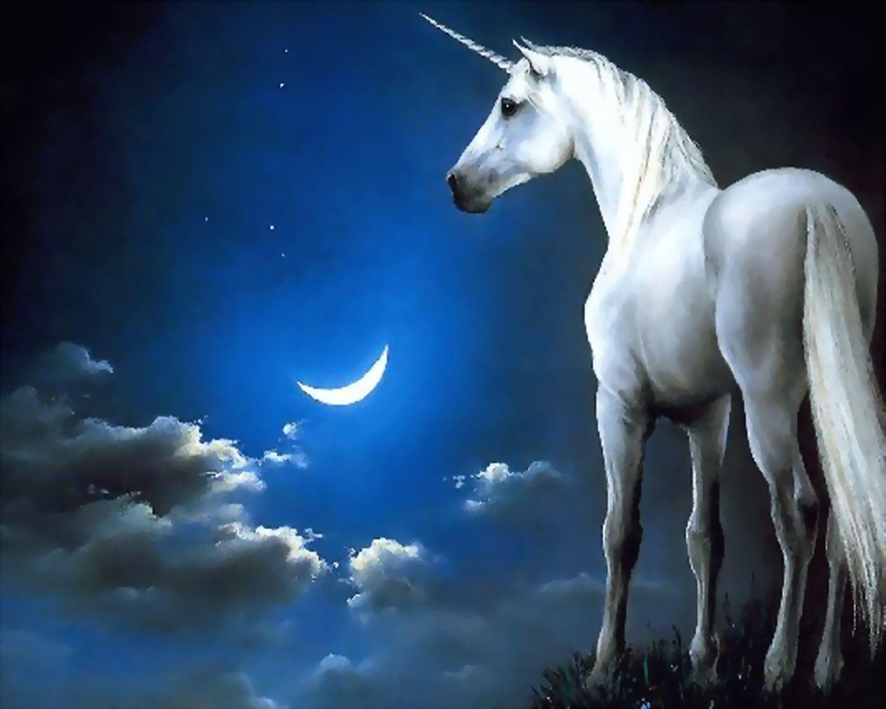 1280x1024 Desktop Wallpaper Unicorns Fantasy Magical animals