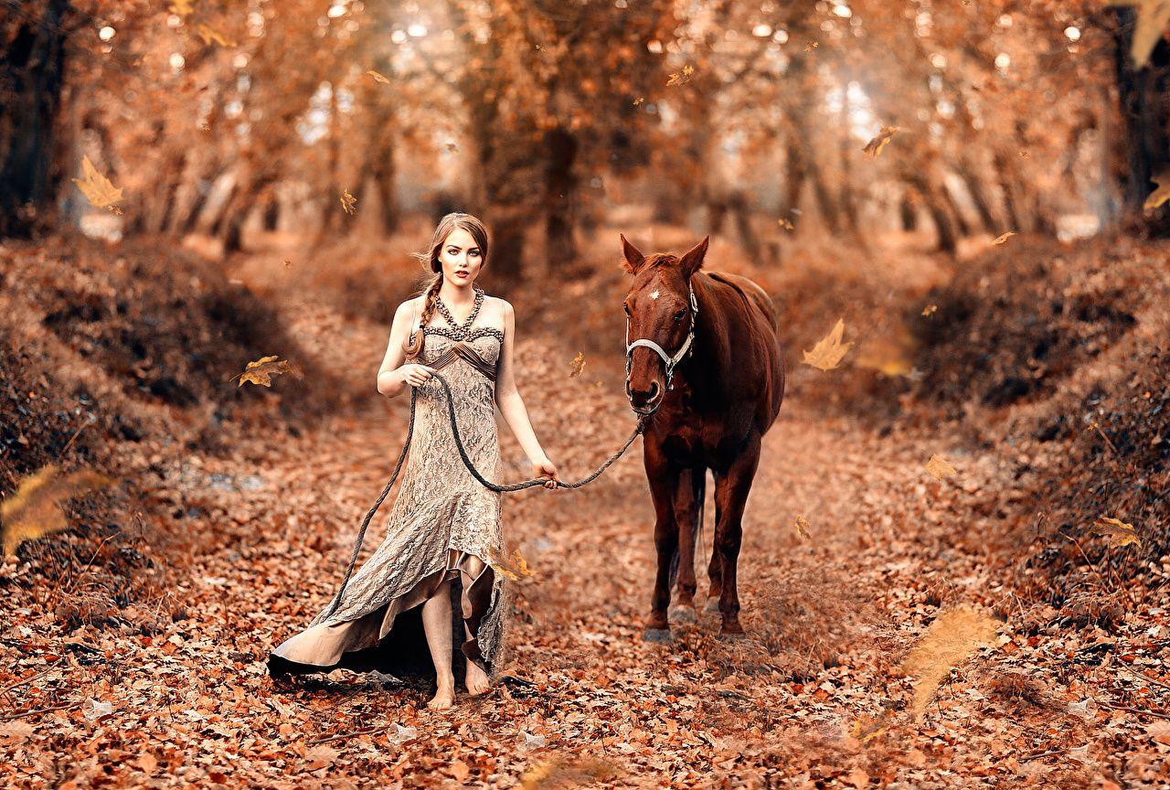 1280x864 Wallpaper horse Fairy tale, Alessandro Di Cicco female Autumn