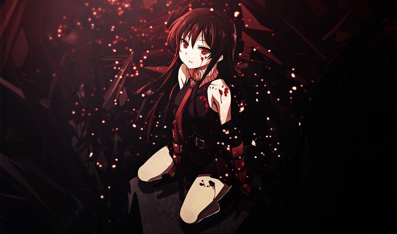 1300x768 Akame Wallpaper
