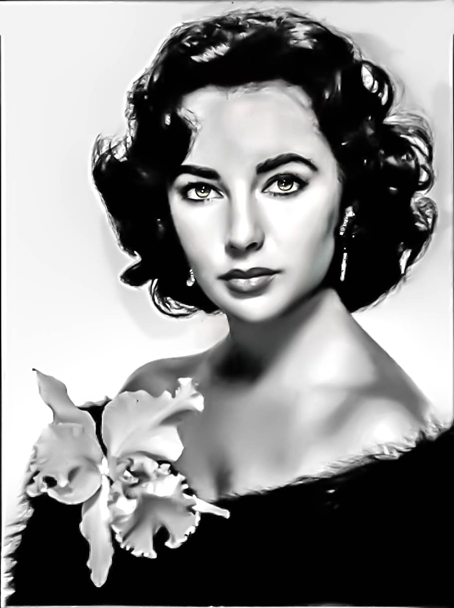 910x1220 Elizabeth Taylor Hollywood 1080P, 2K, 4K, 5K HD Wallpaper Free