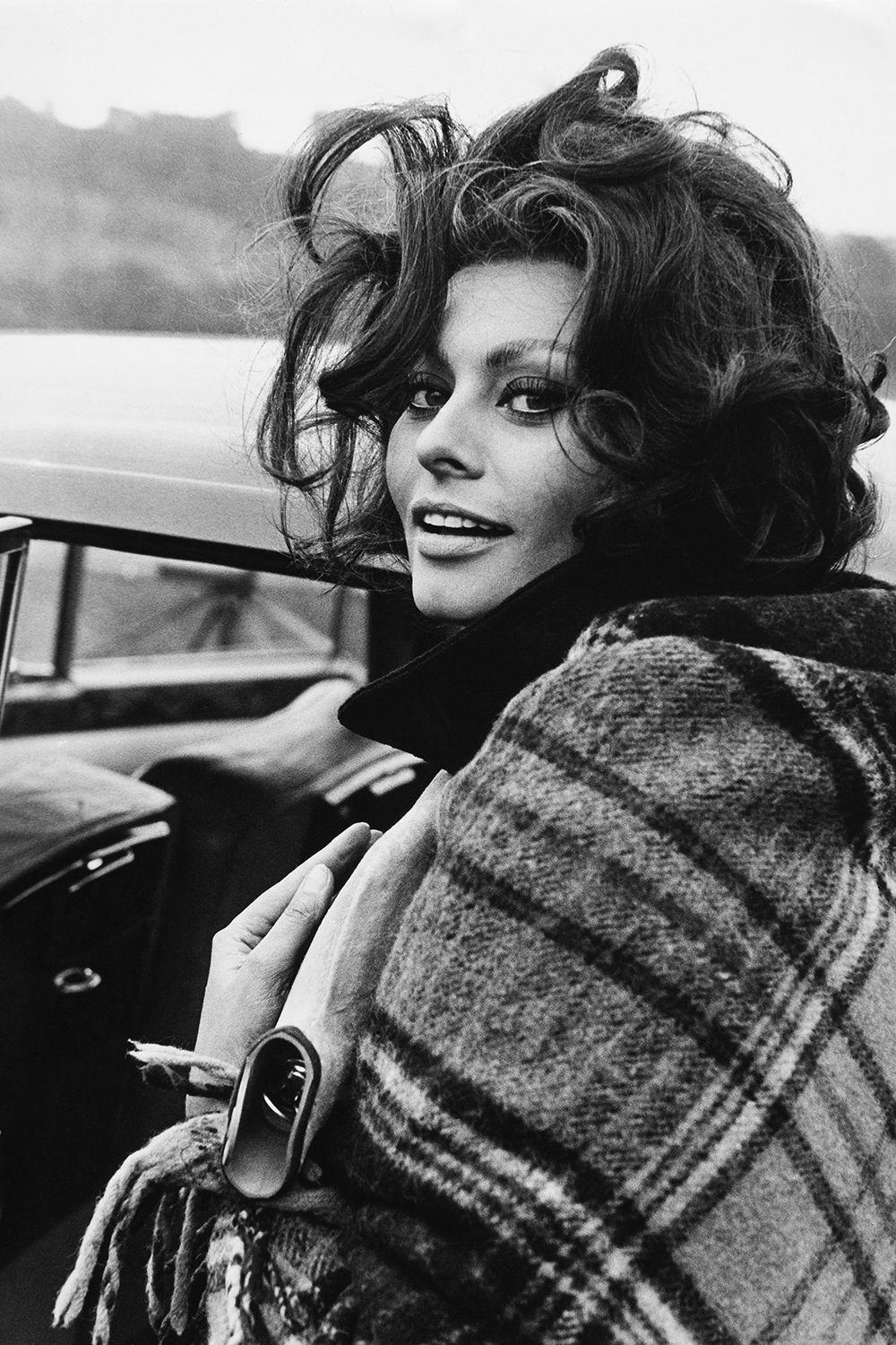 Sophia Loren Wallpapers - Top Free Sophia Loren Backgrounds
