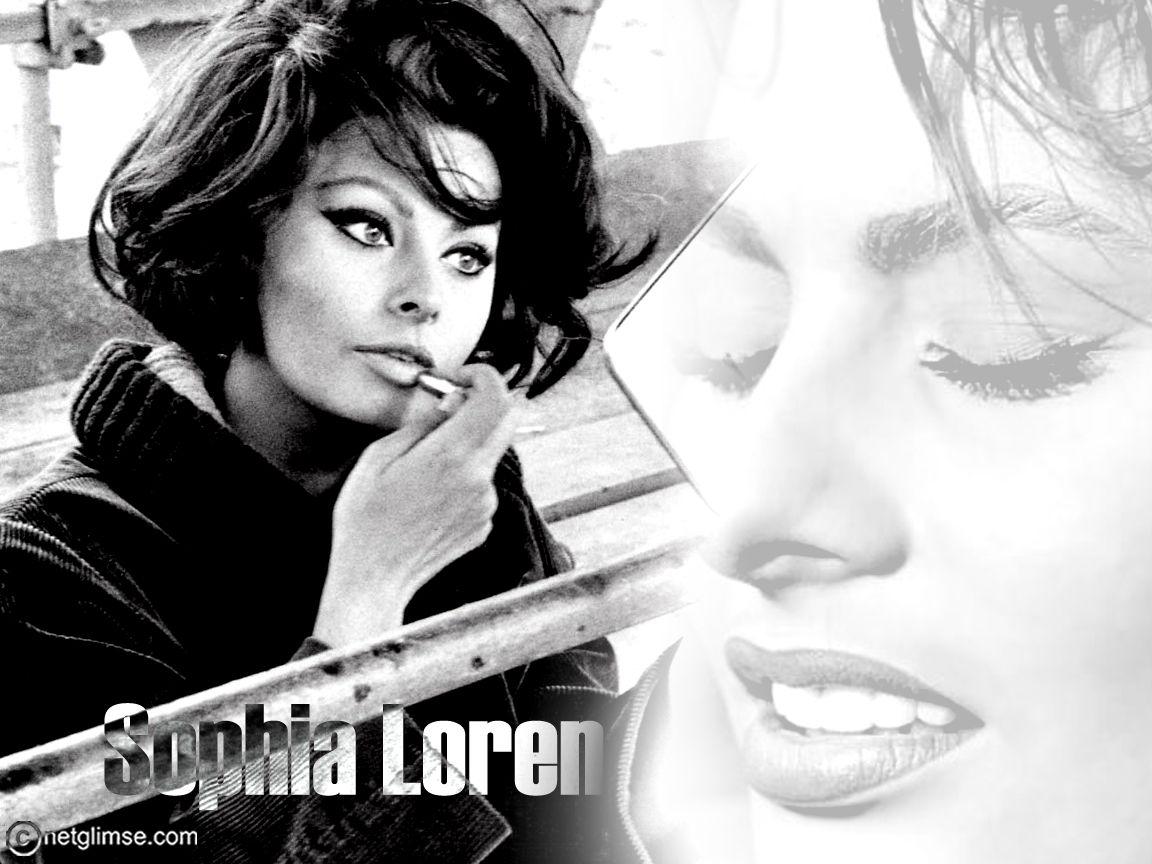 Sophia Loren Wallpapers - Top Free Sophia Loren Backgrounds