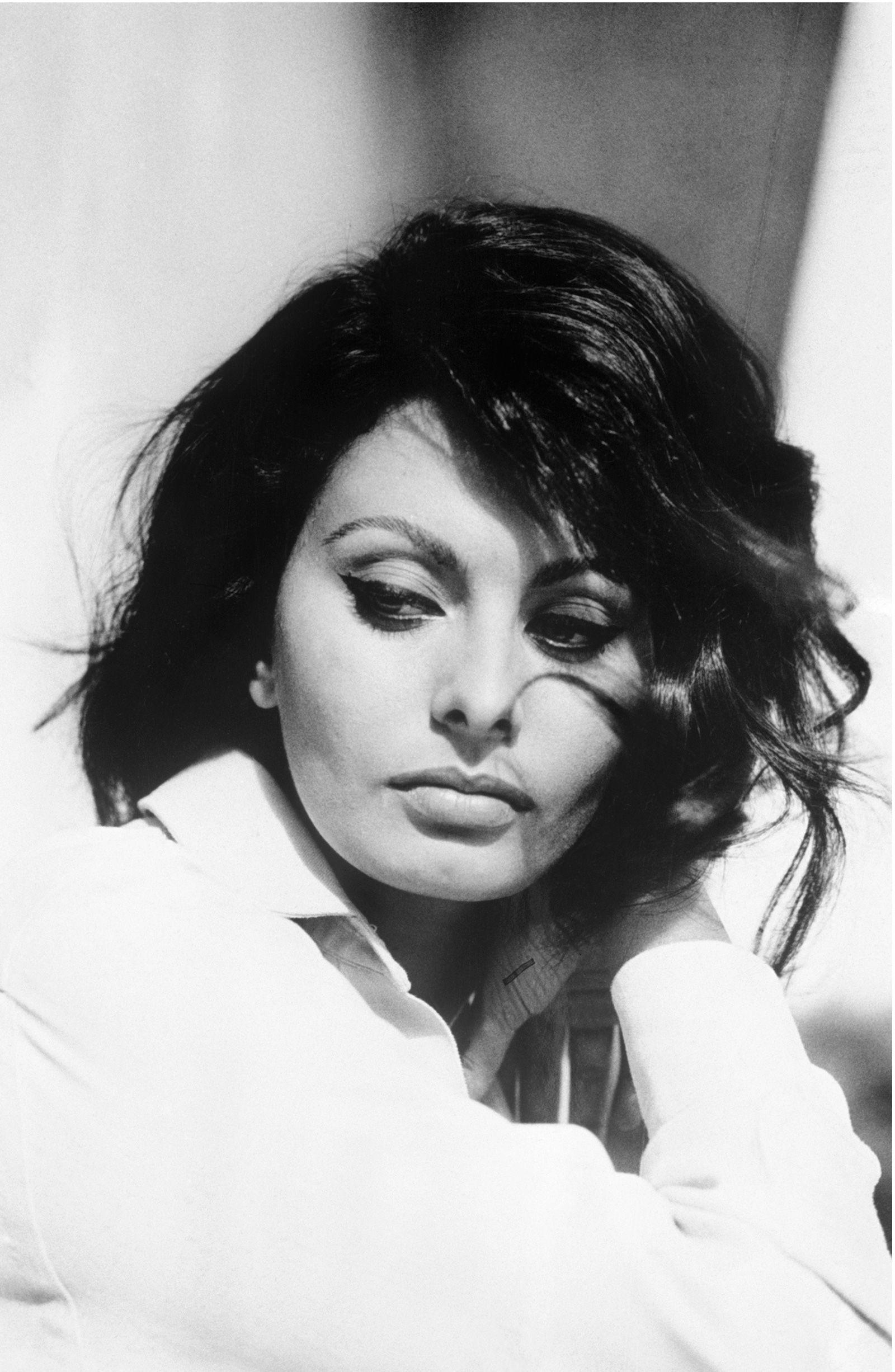 Sophia Loren Wallpapers - Top Free Sophia Loren Backgrounds