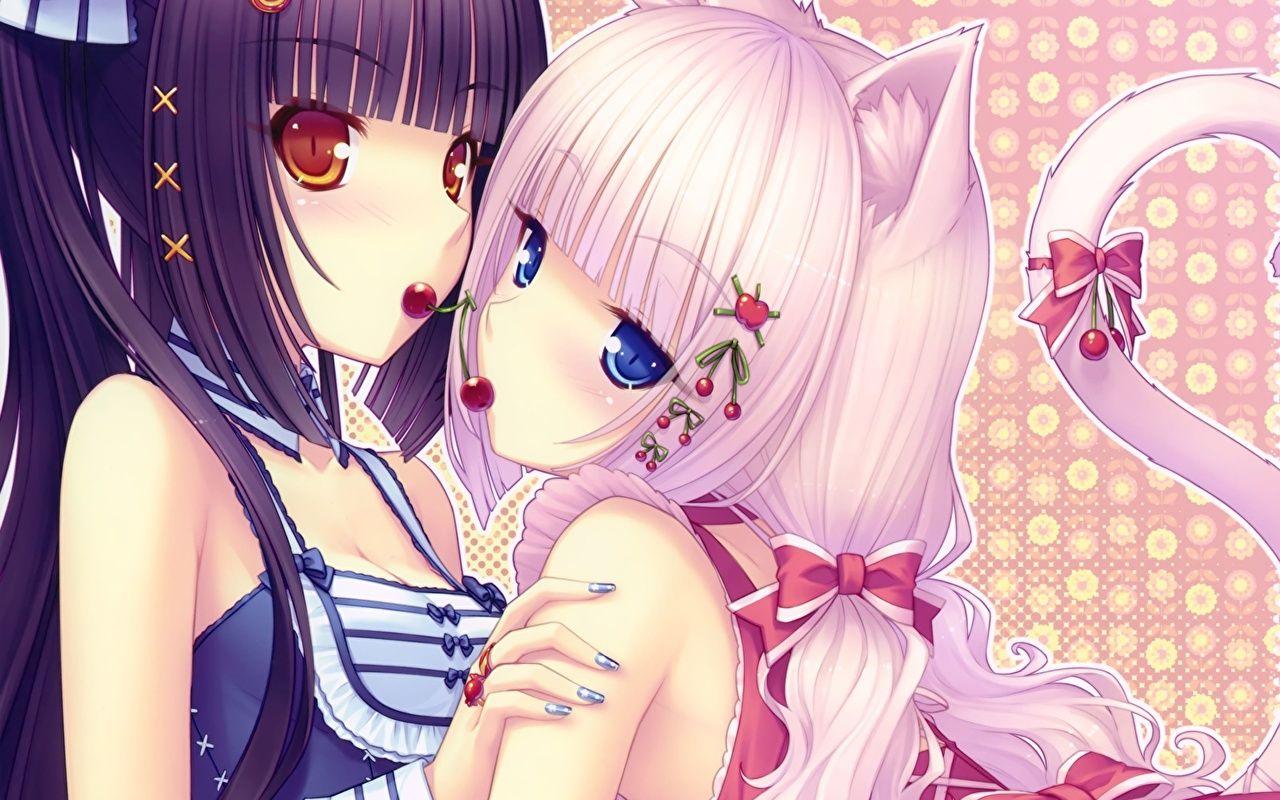1280x800 Neko Girls Girls Anime