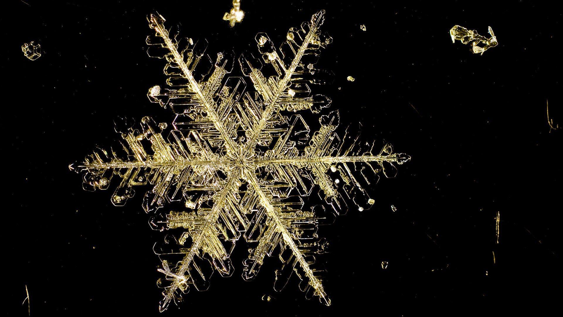 1920x1080 Microscopic Snow Flake desktop PC and Mac wallpaper