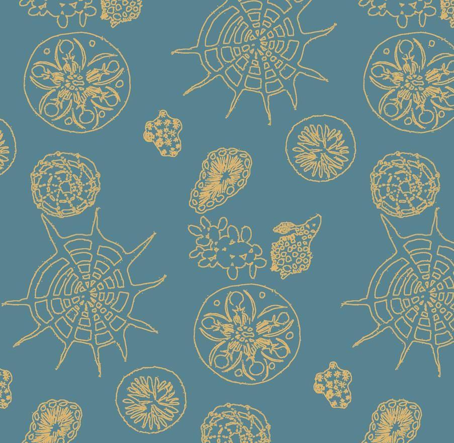 903x880 Microscopic Wallpaper by Michele Oka Doner