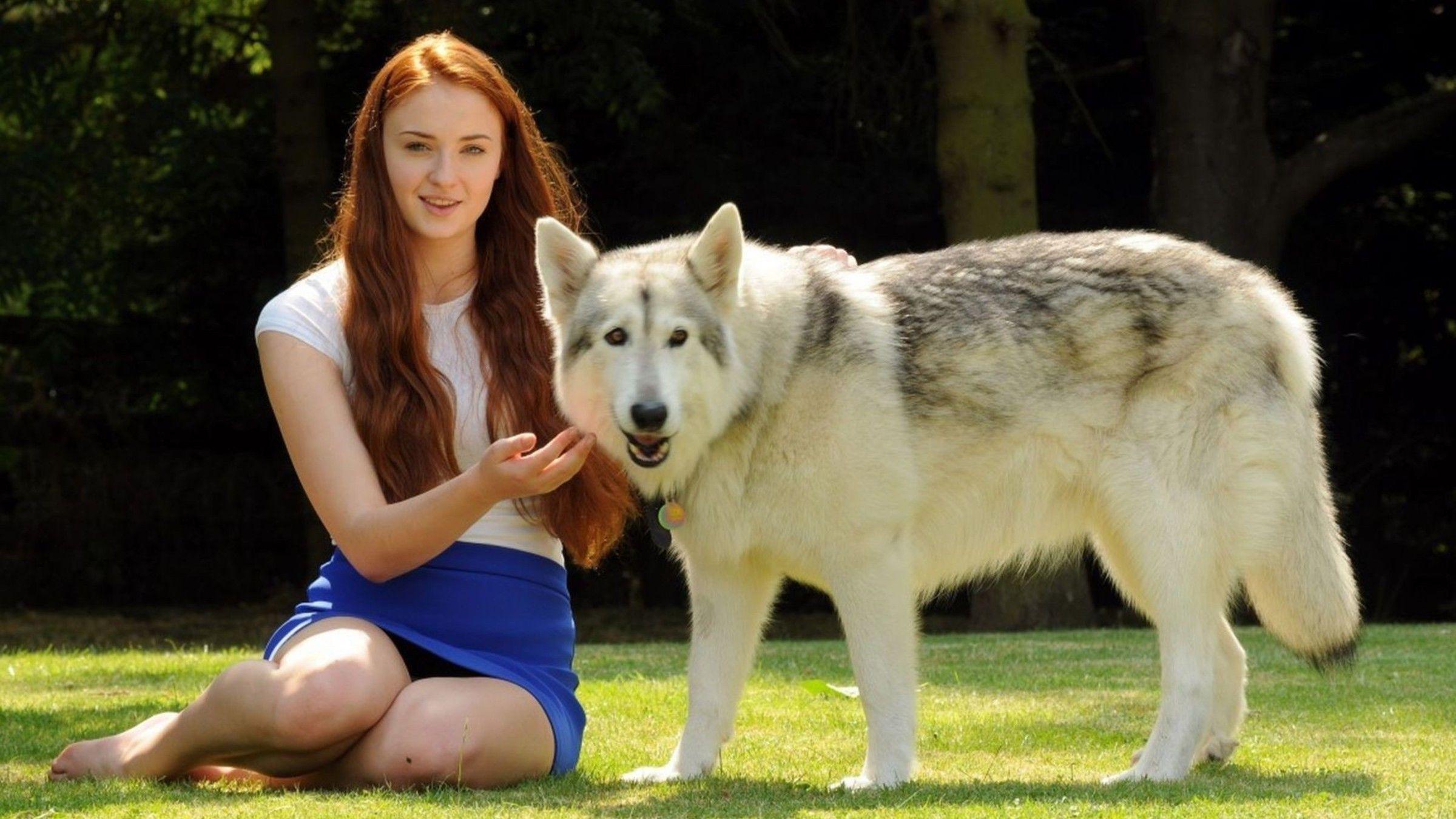2400x1350 Sophie turner (actress) direwolf wolves wallpaper