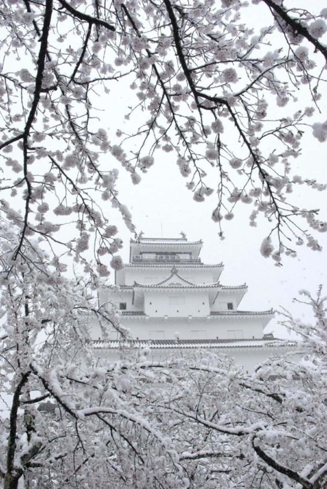 1128x1686 Download Minimalistic and peaceful view of Japan Wallpaper