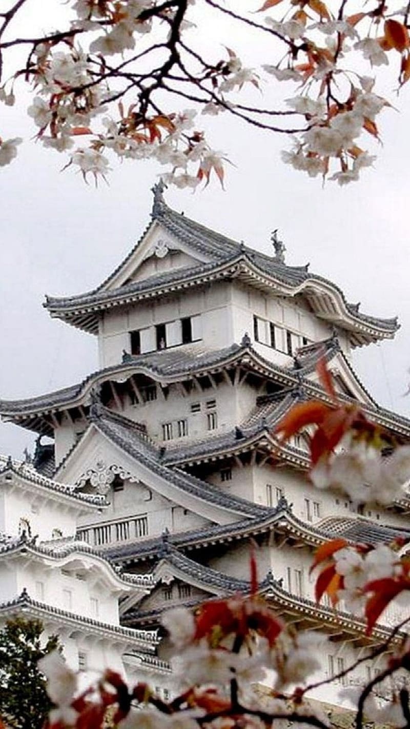 800x1422 Beautiful For, Japan White Temple, japan, white temple, HD phone wallpaper