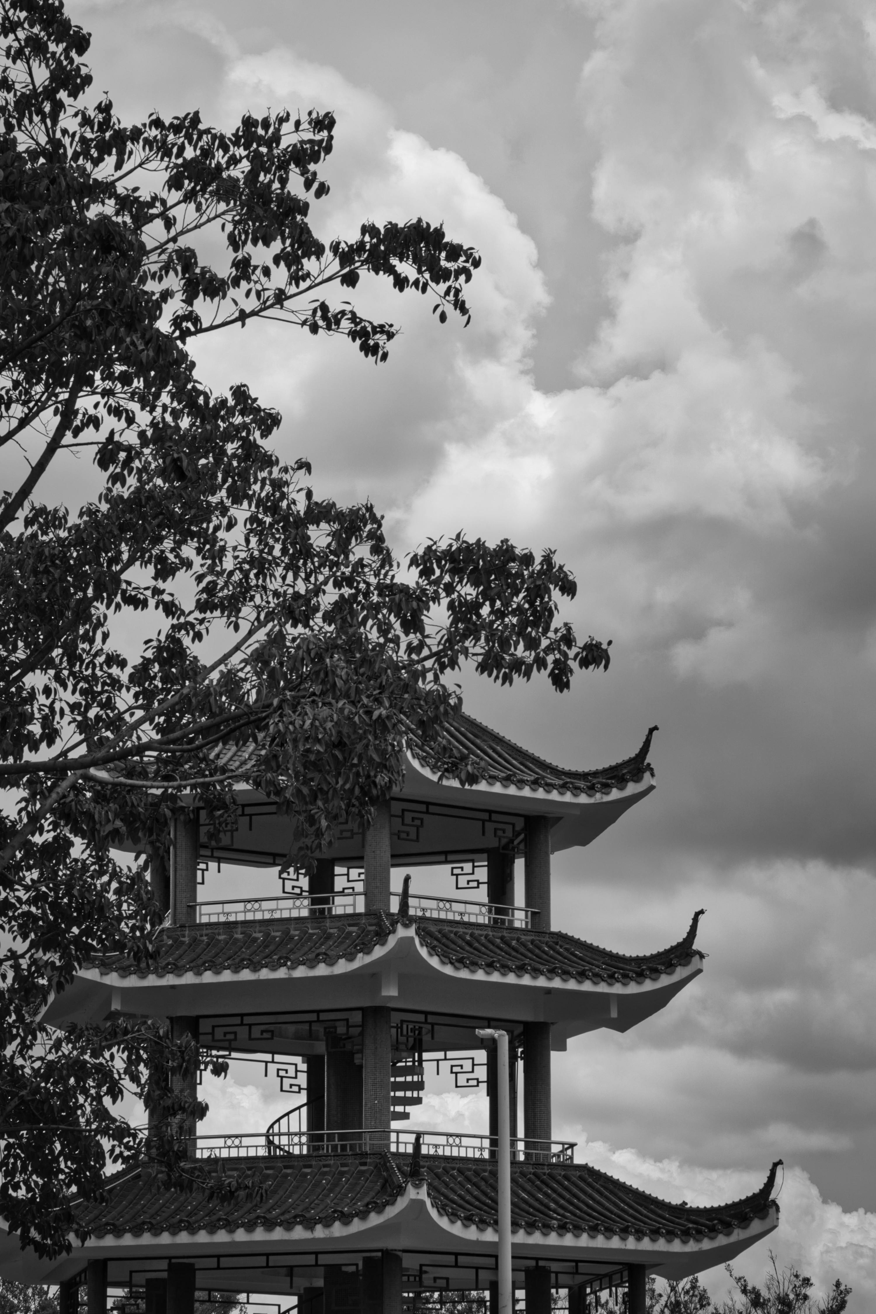 3000x4501 Asian Temple in Black and White · Free