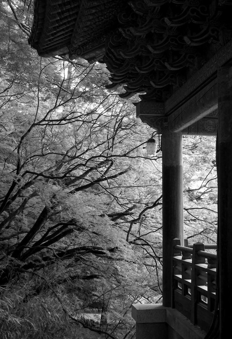 740x1082 Japanese black white wallpaper Image